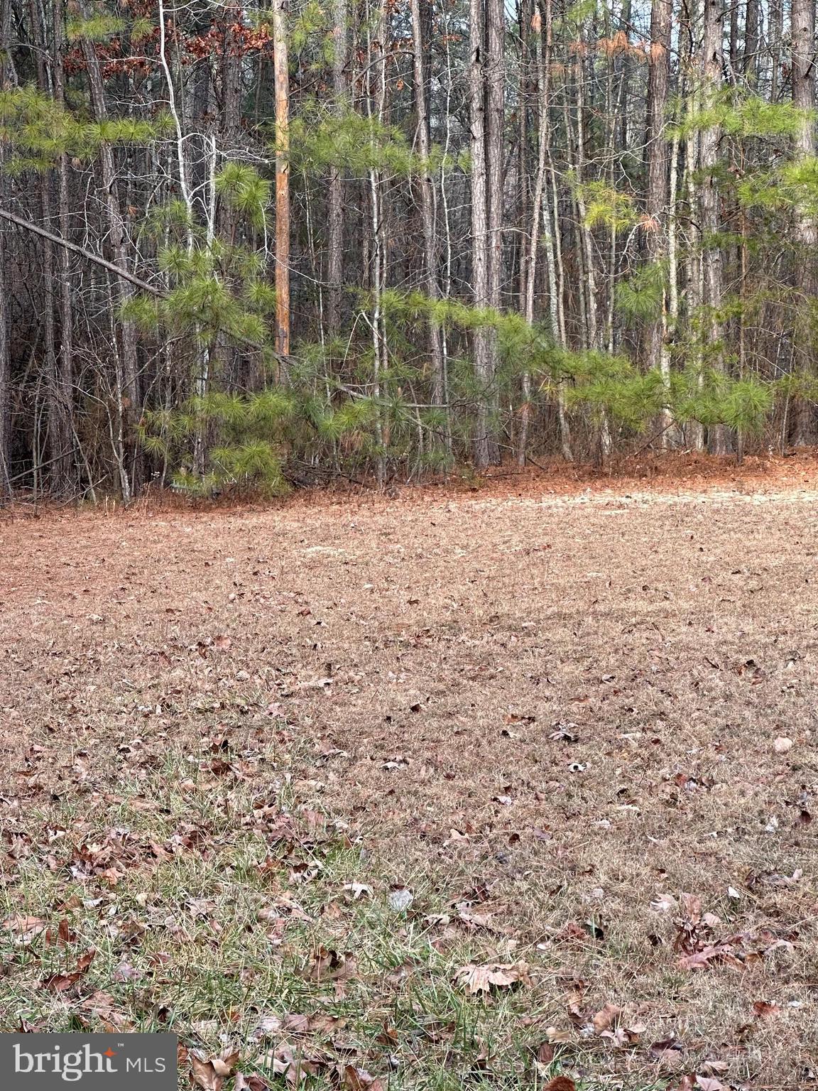 13319 W CATHARPIN ROAD