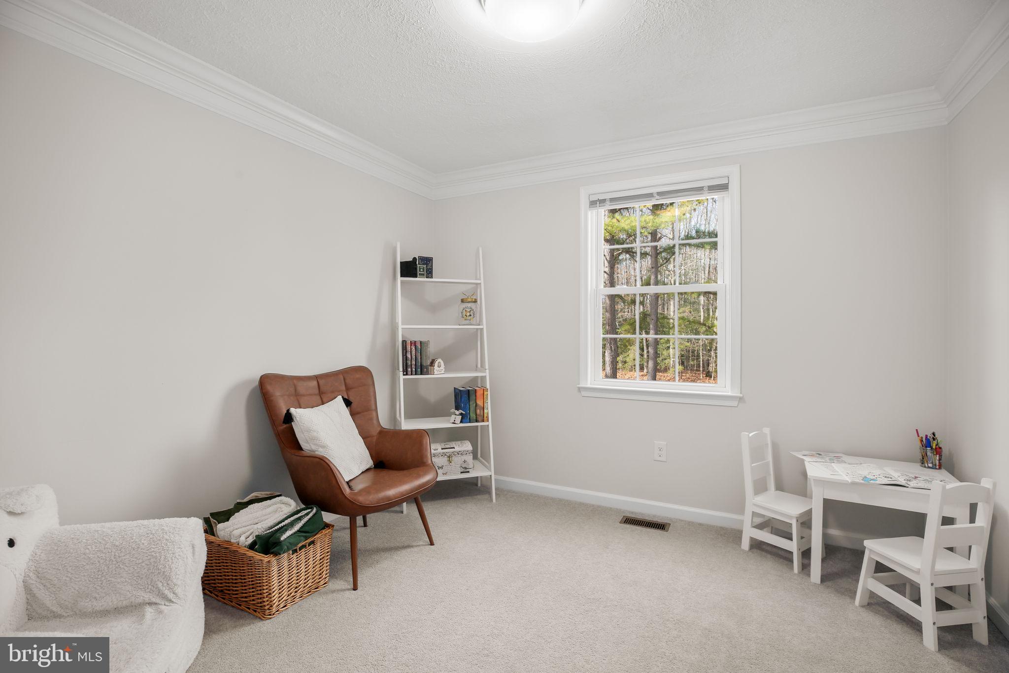 8515 FOUNDRY RUN DRIVE