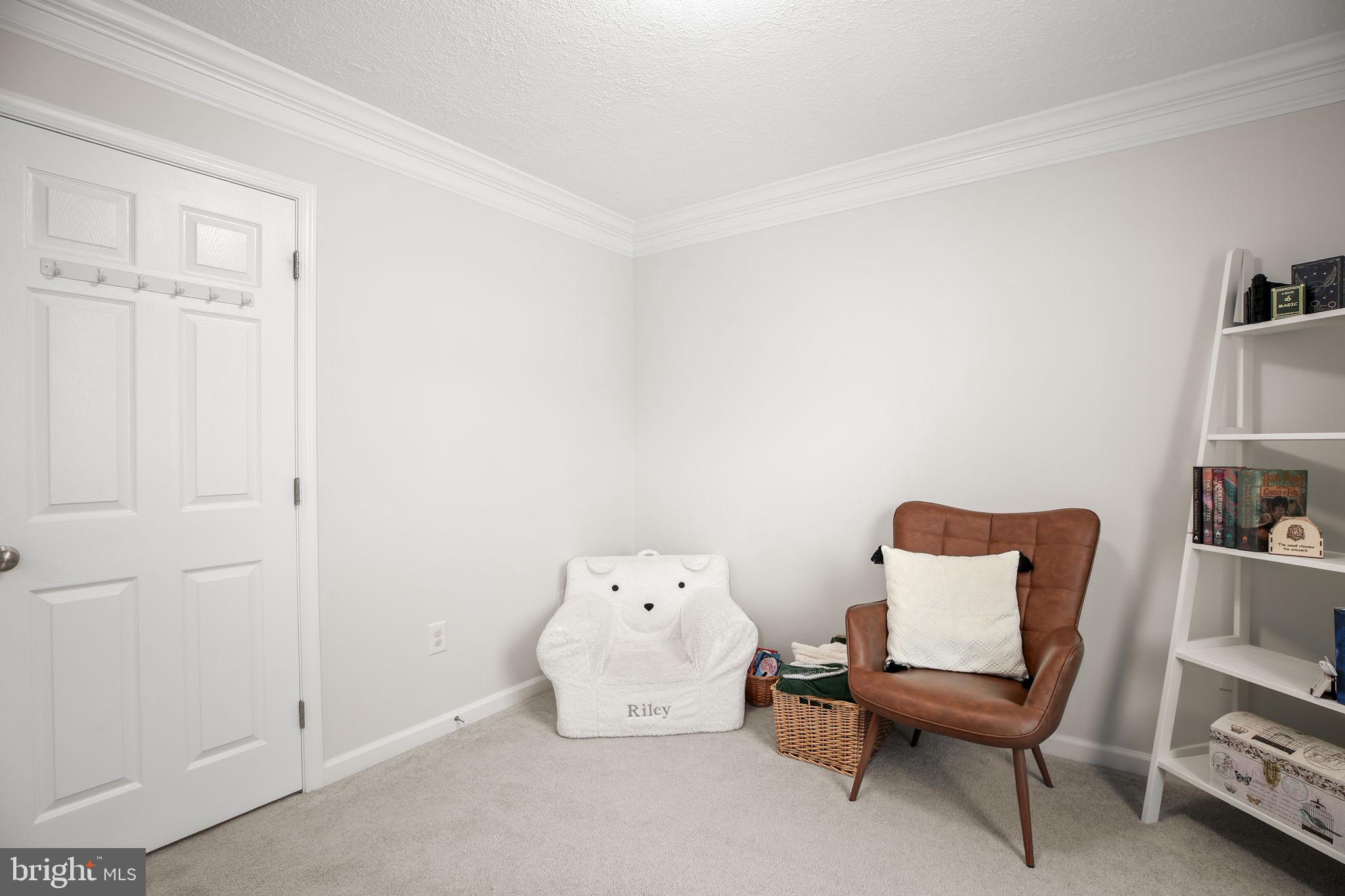 8515 FOUNDRY RUN DRIVE