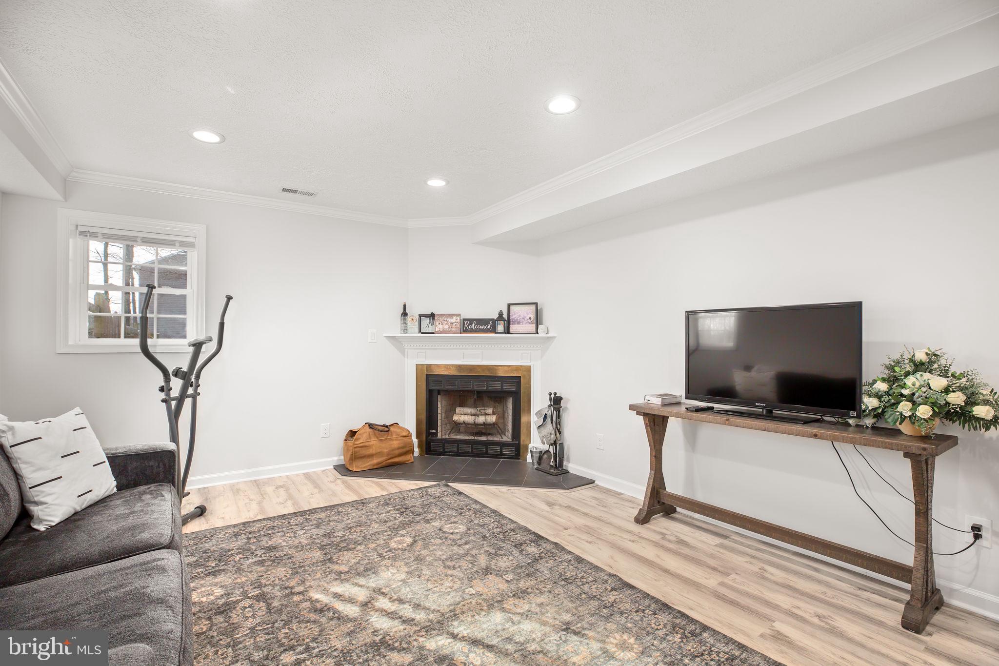 8515 FOUNDRY RUN DRIVE