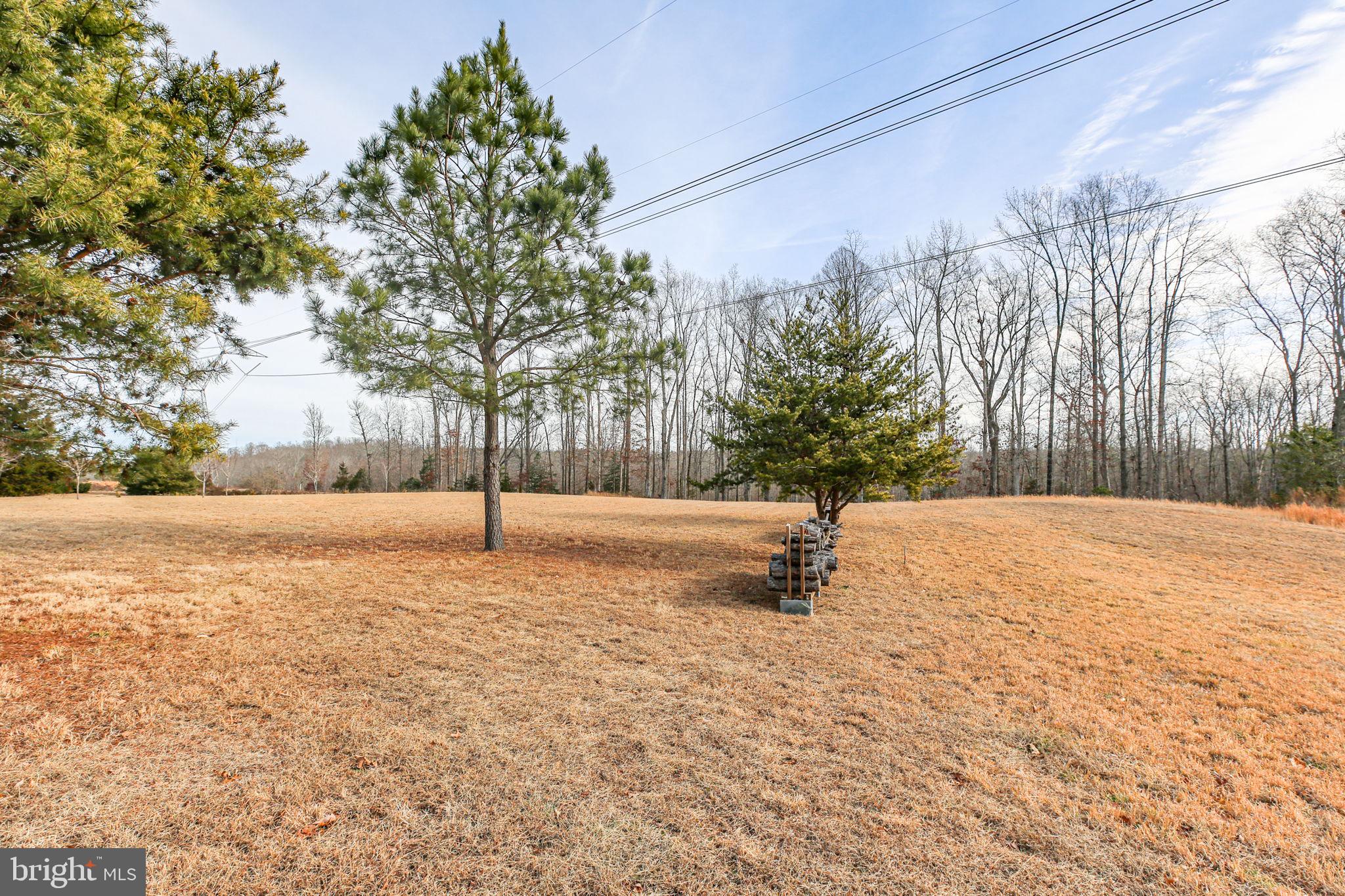 8515 FOUNDRY RUN DRIVE