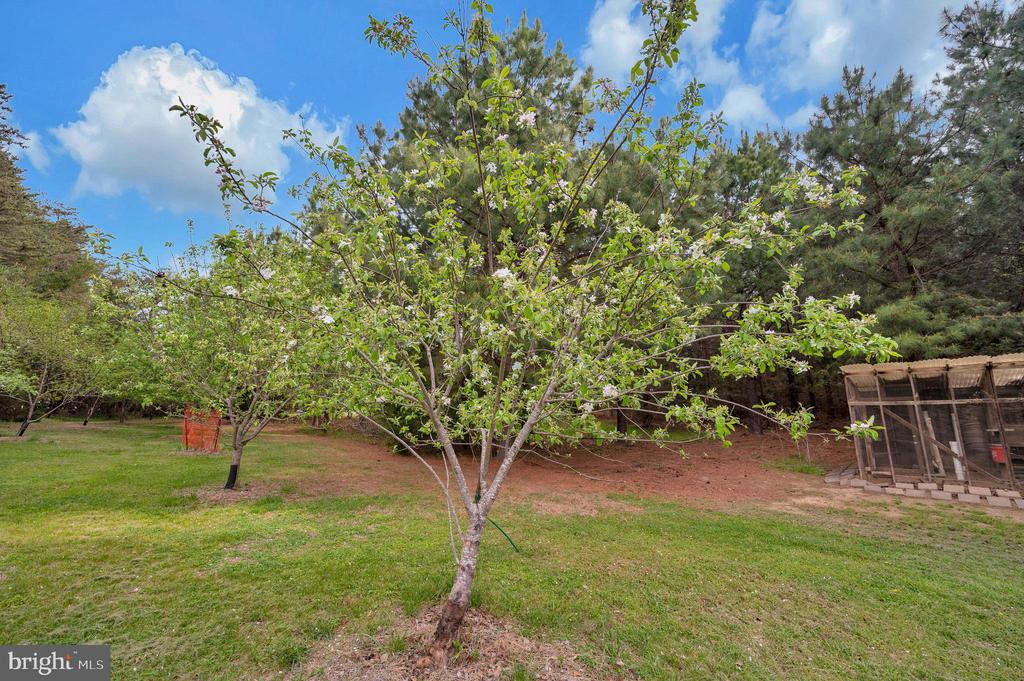 11326 WHEELER ROAD