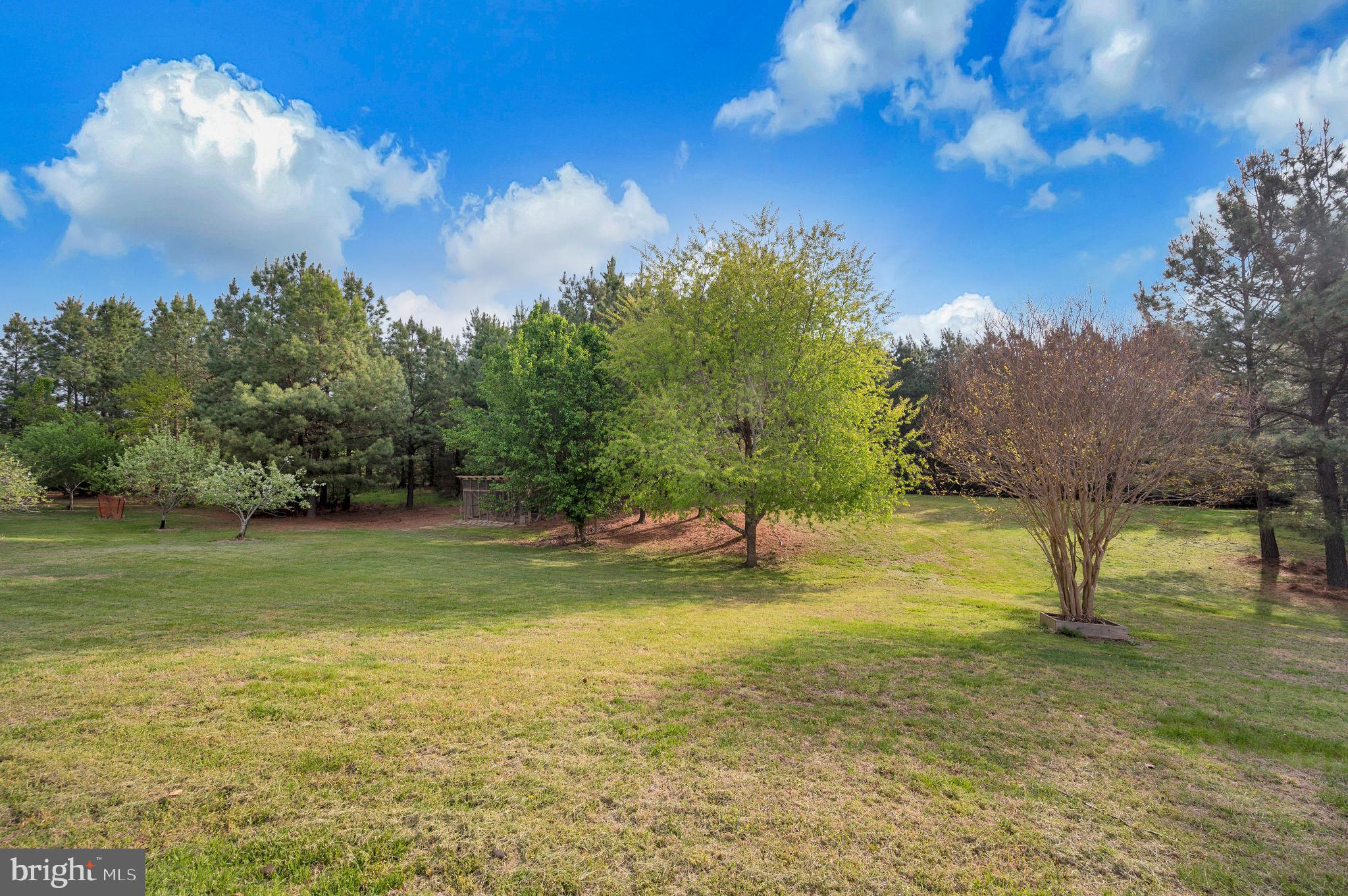 11326 WHEELER ROAD