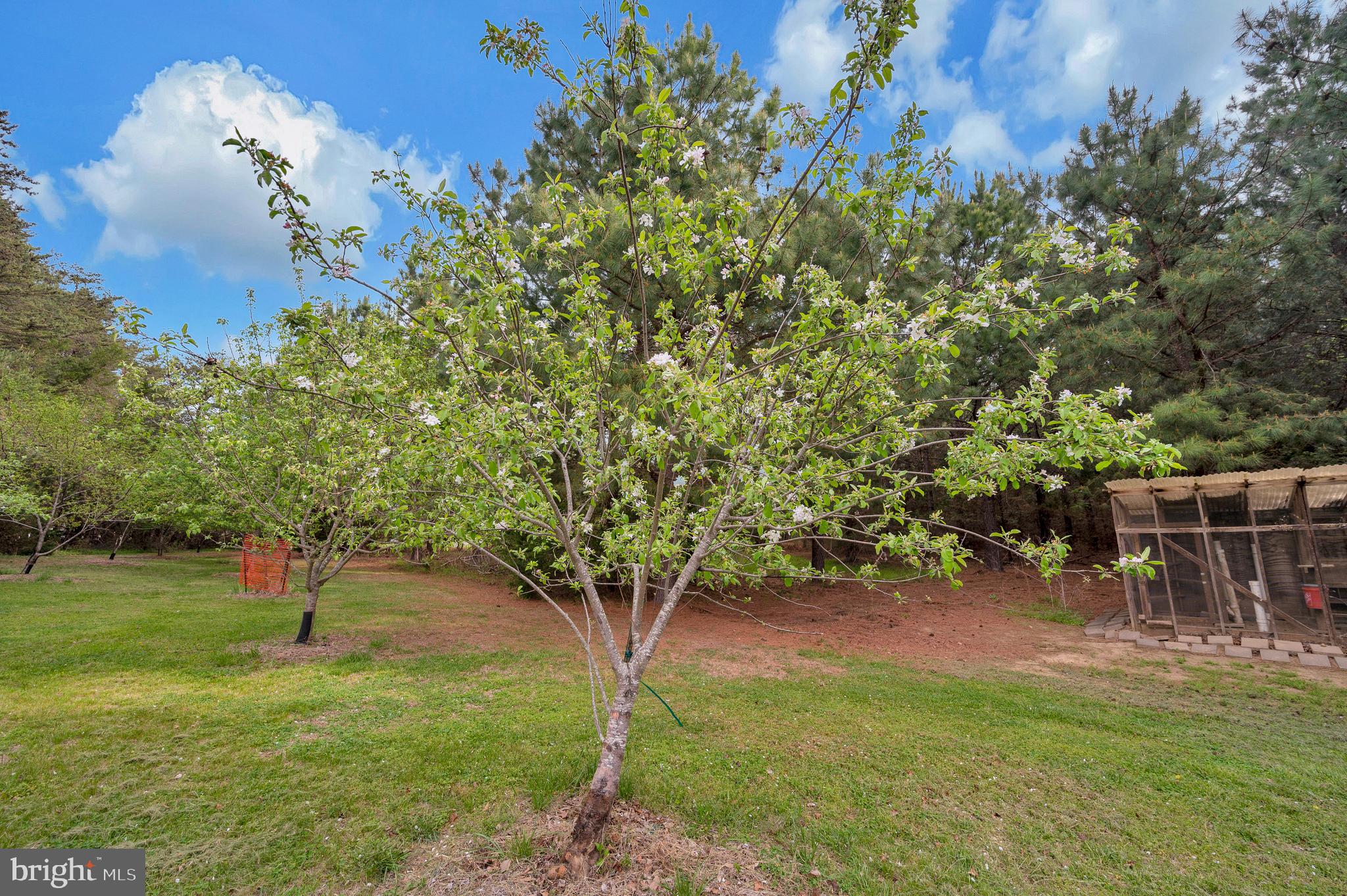 11326 WHEELER ROAD