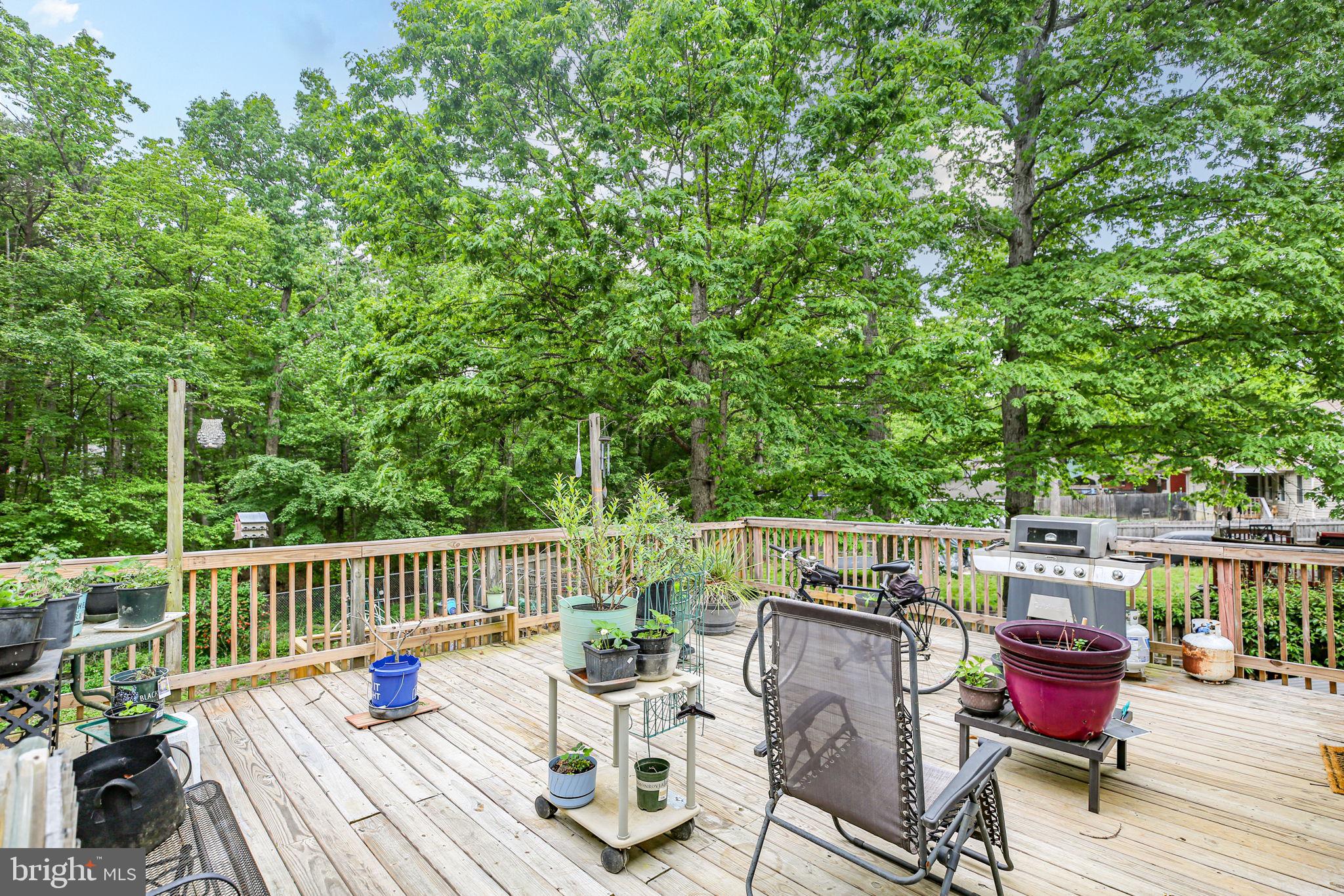 50 LOVETT DRIVE