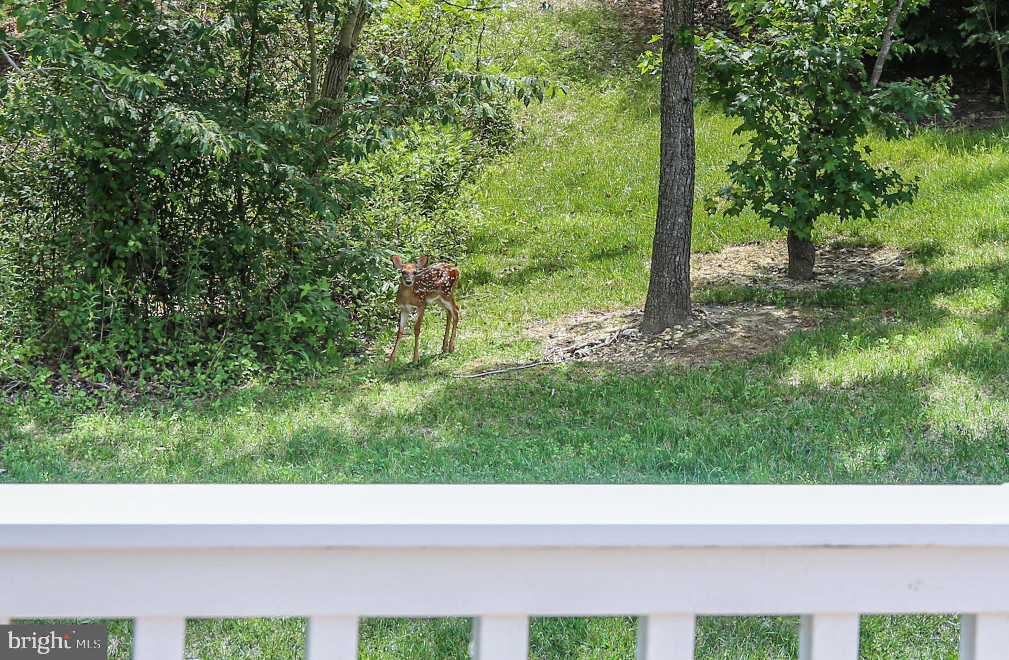 5612 CEDAR MOUNTAIN COURT