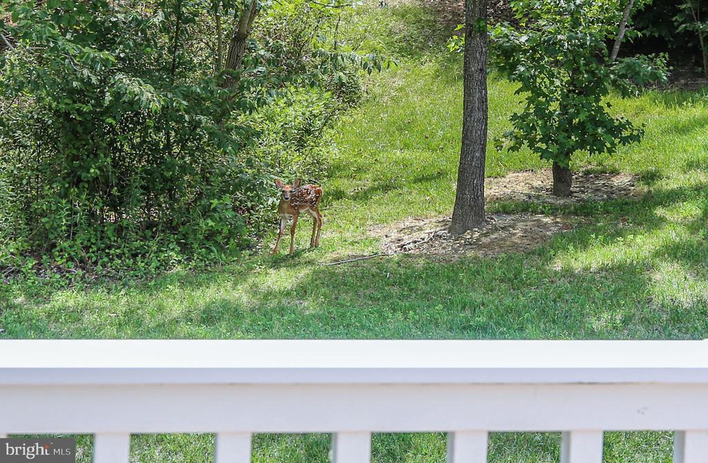 5612 CEDAR MOUNTAIN COURT