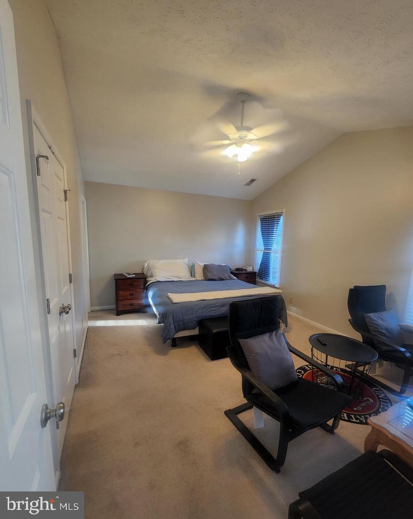 4317 AMELIA DRIVE