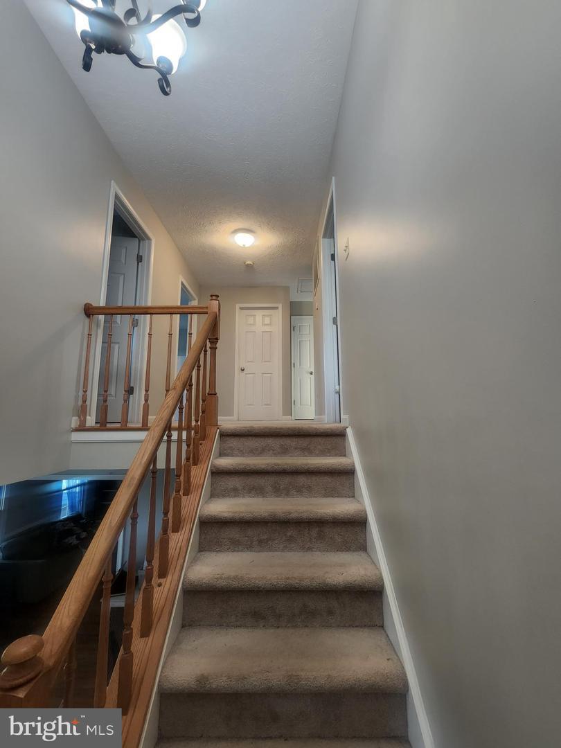4317 AMELIA DRIVE