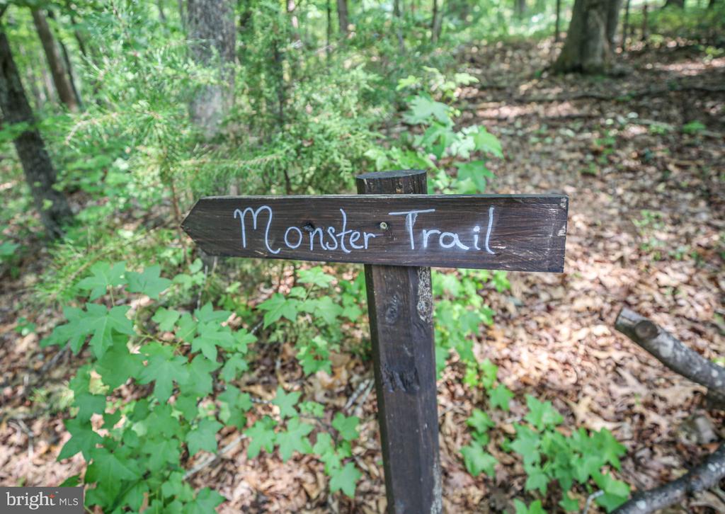 8613 LAROQUE RUN DRIVE