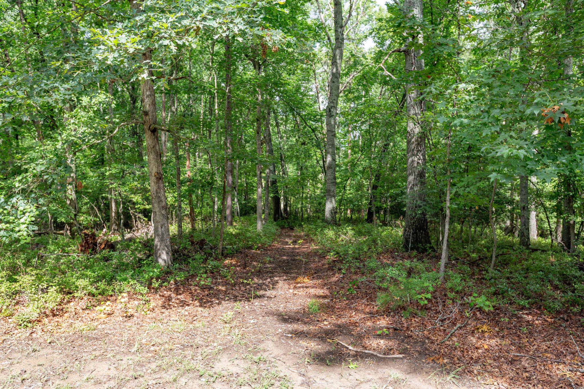 12308 CATHARINES FURNACE COURT