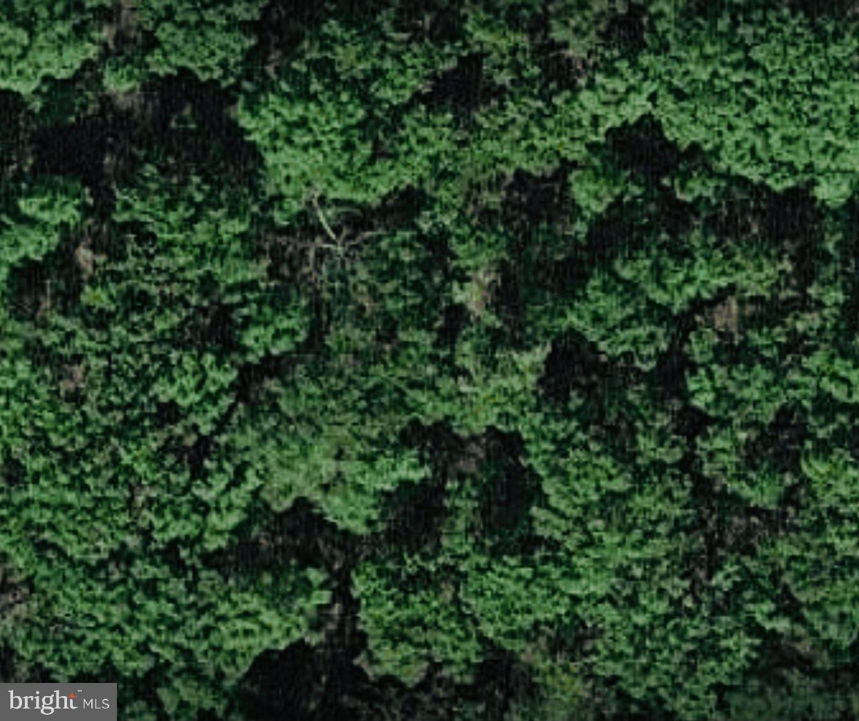 3715 Summit Crossing Rd