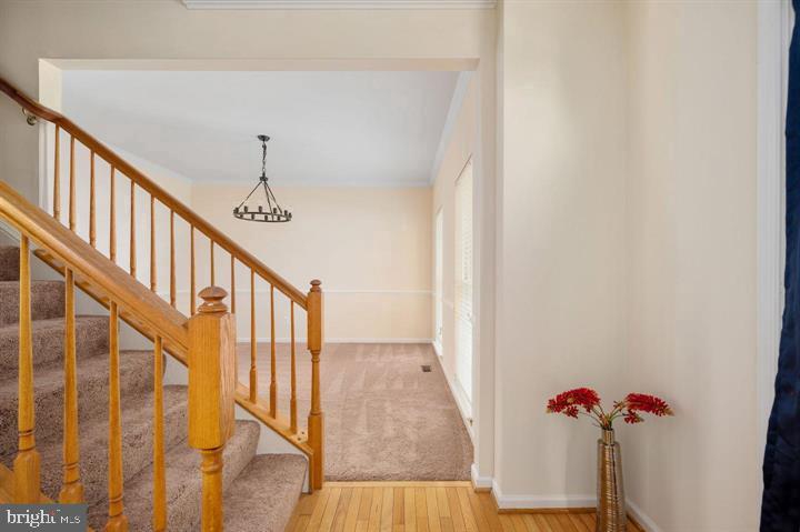 6 RIGGS ROAD