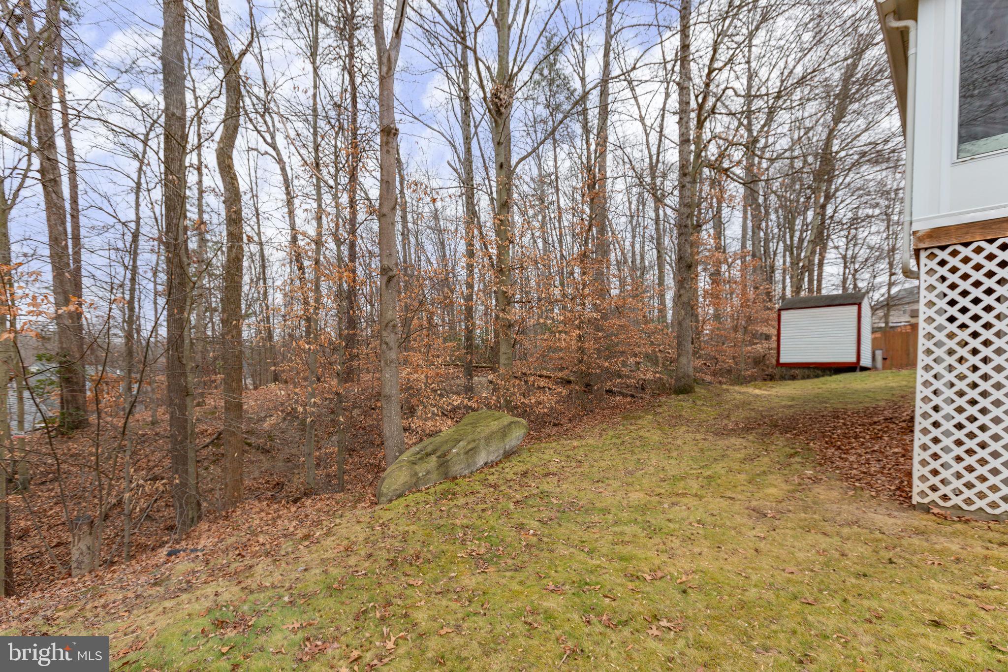 12 BELLS RIDGE DRIVE