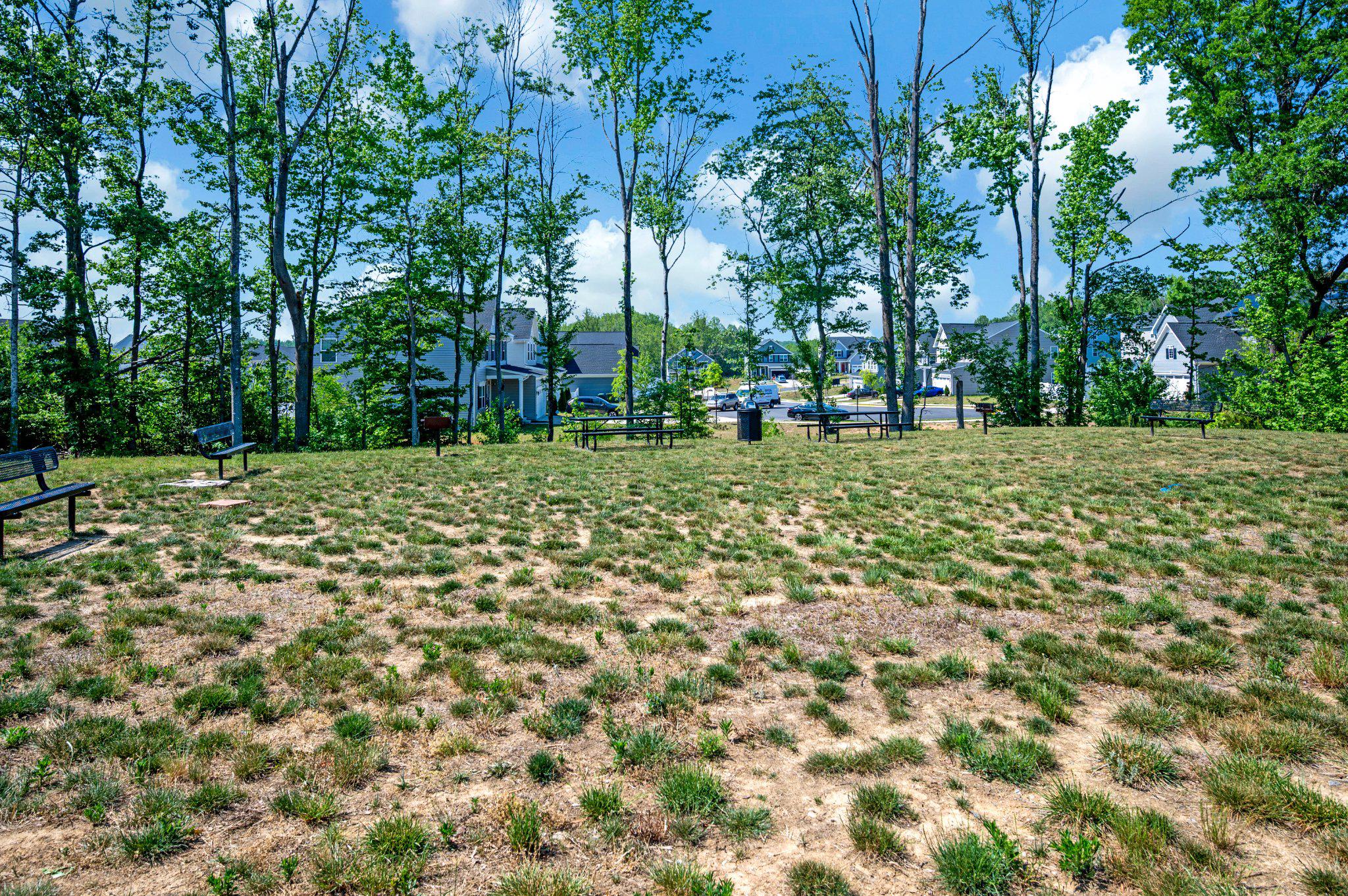 429 SNOWBERRY LANE