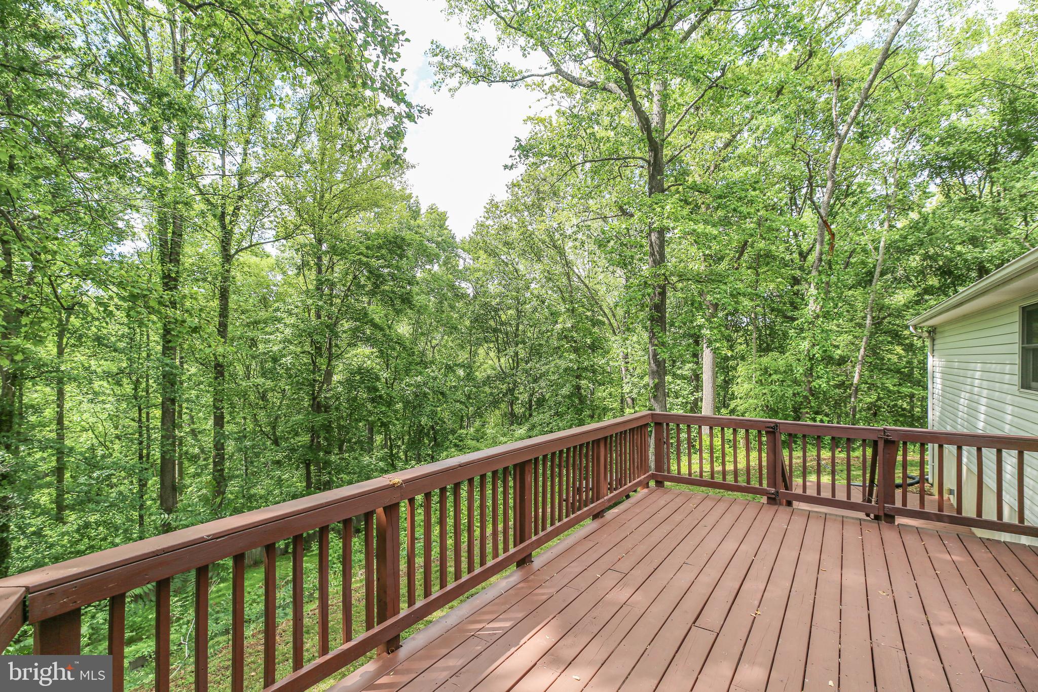 289 SANDY RIDGE ROAD