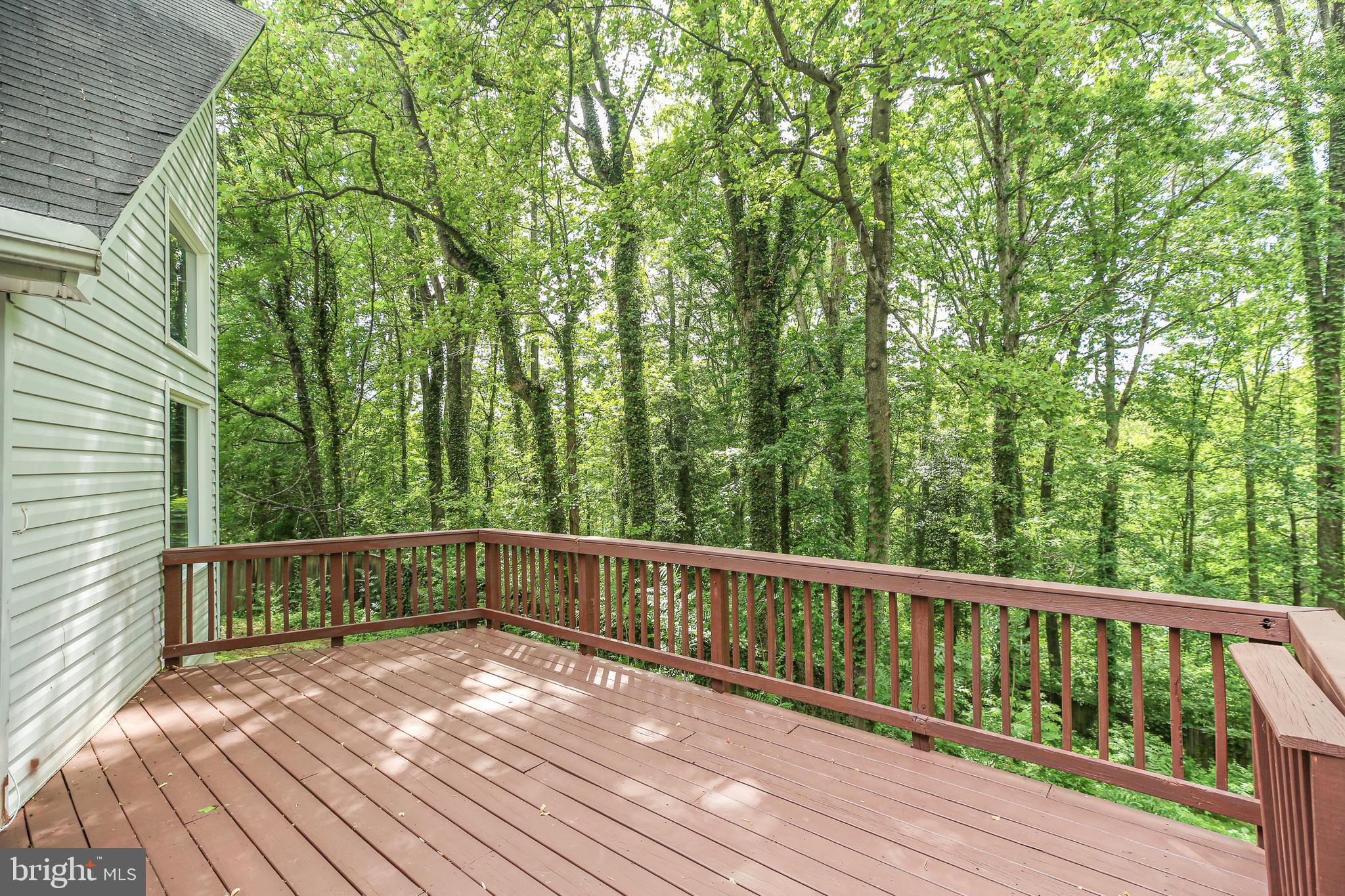 289 SANDY RIDGE ROAD