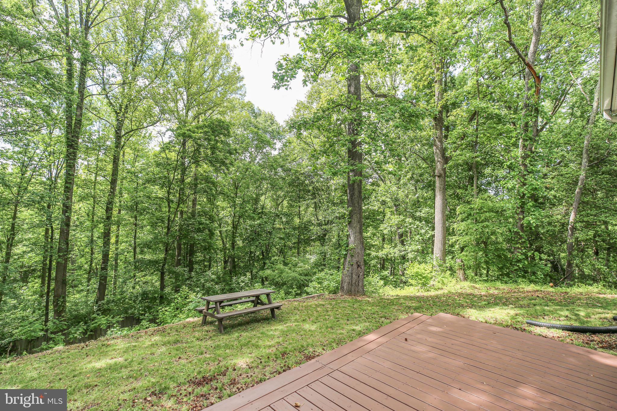 289 SANDY RIDGE ROAD