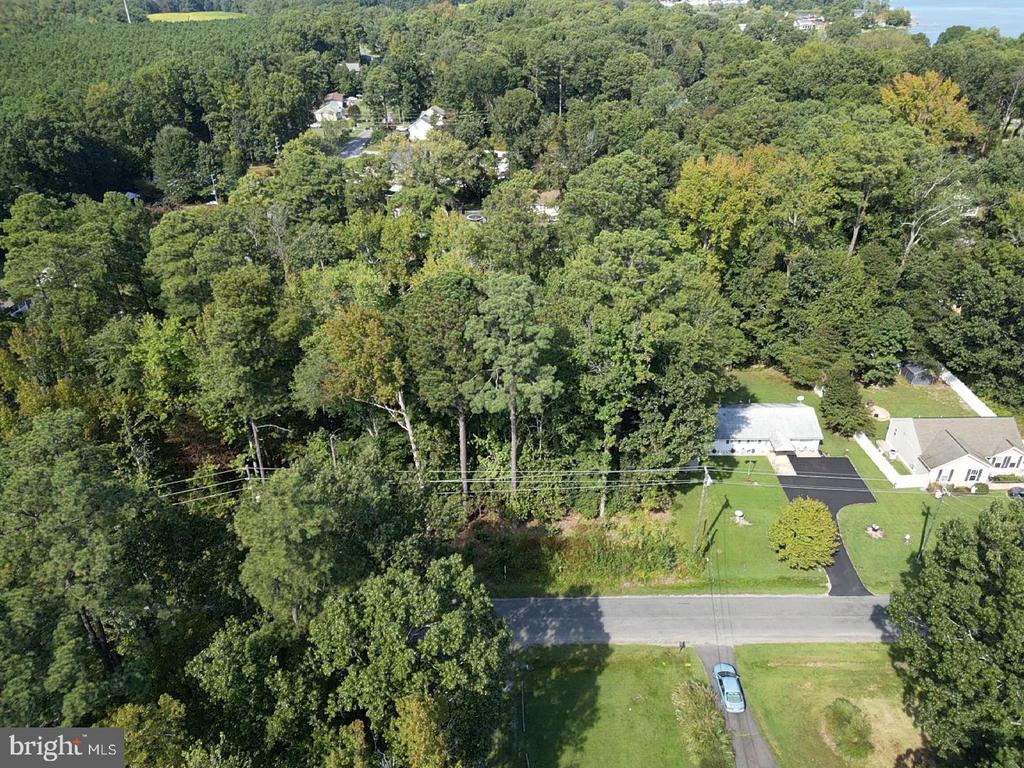 MONROE DRIVE