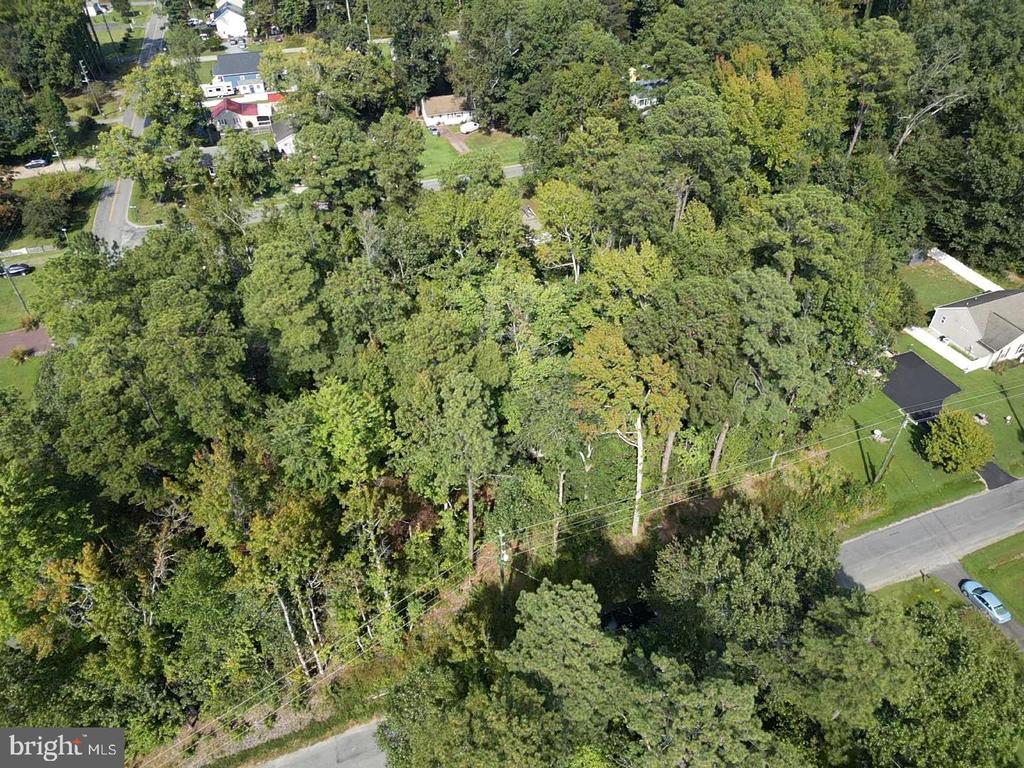 MONROE DRIVE
