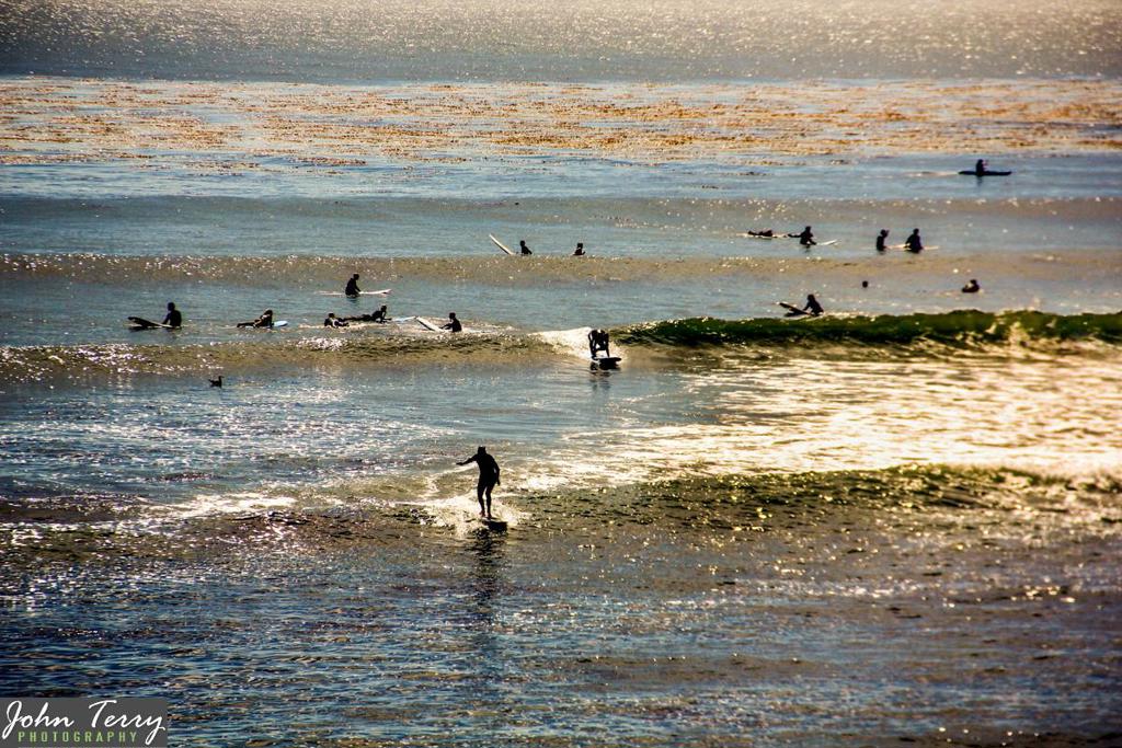 15571561 30th Avenue