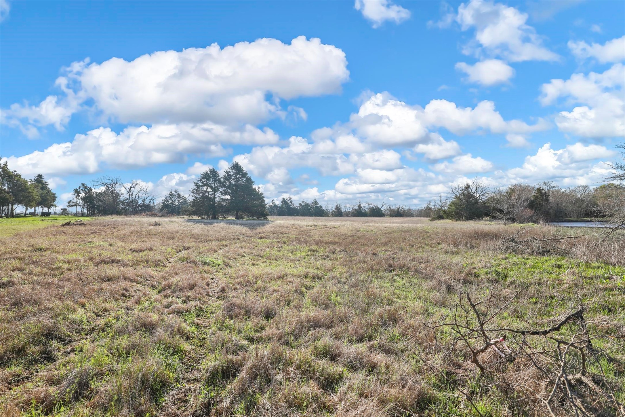 TBD Lot 8 County Road 669