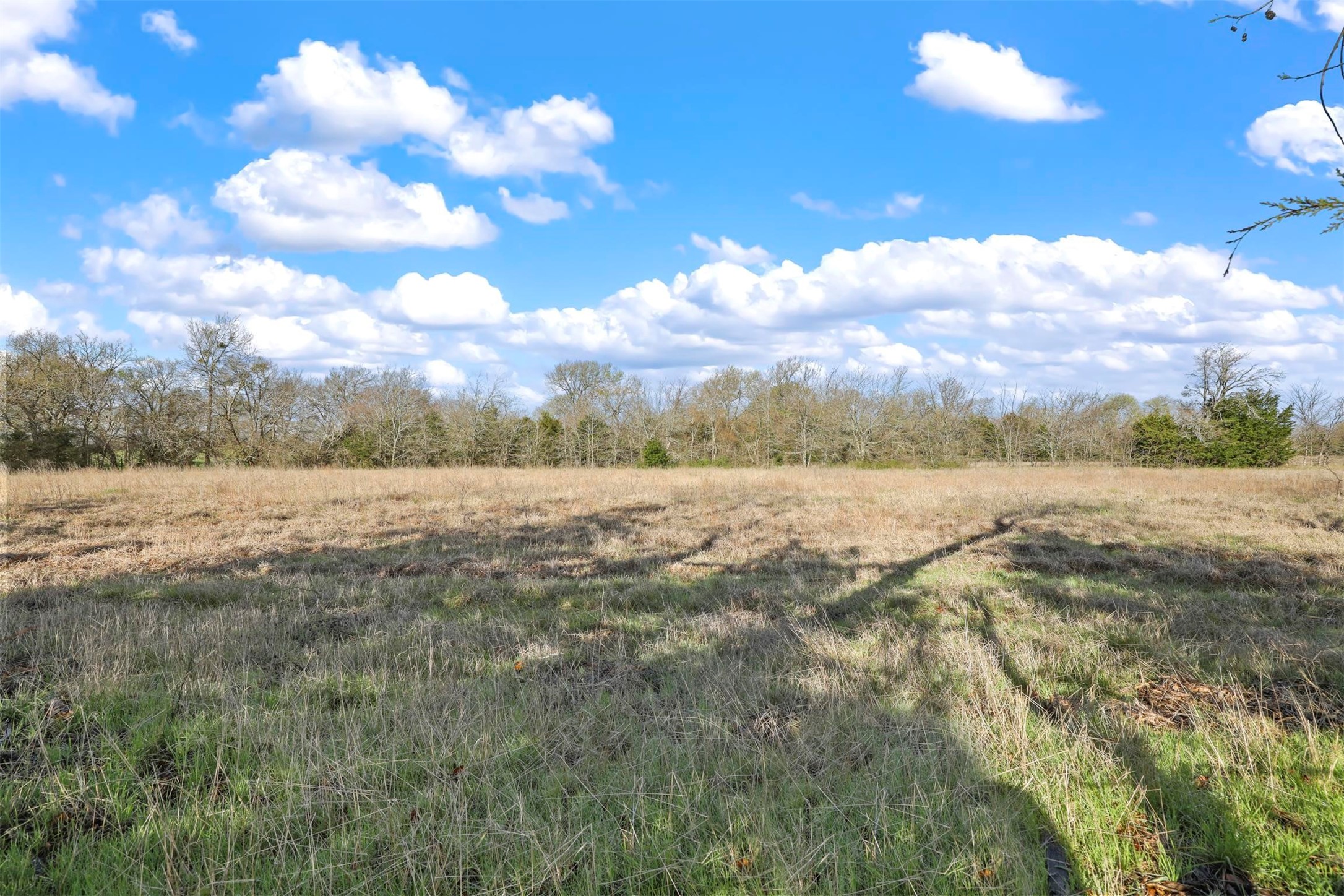 TBD Lot 8 County Road 669