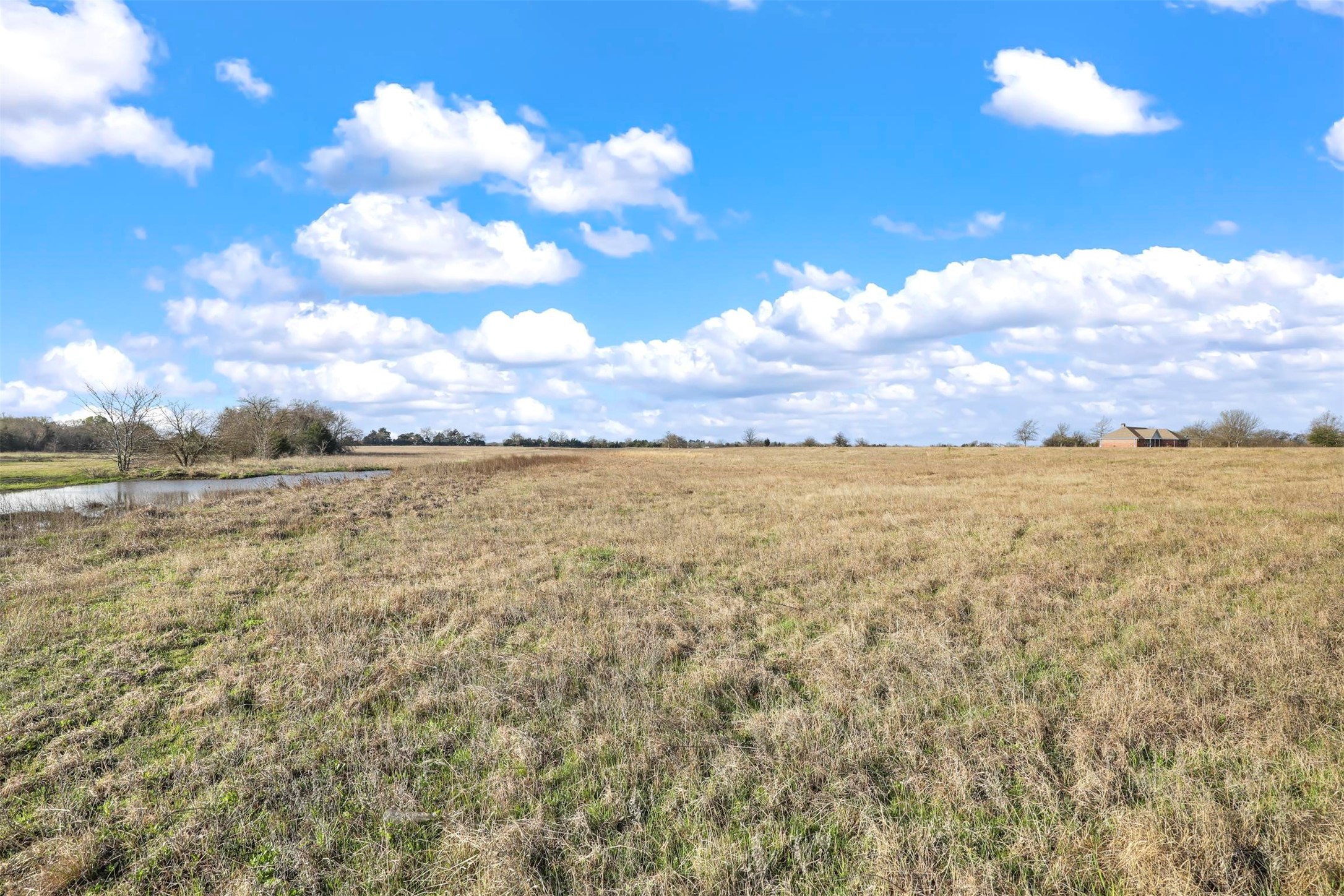 TBD Lot 8 County Road 669