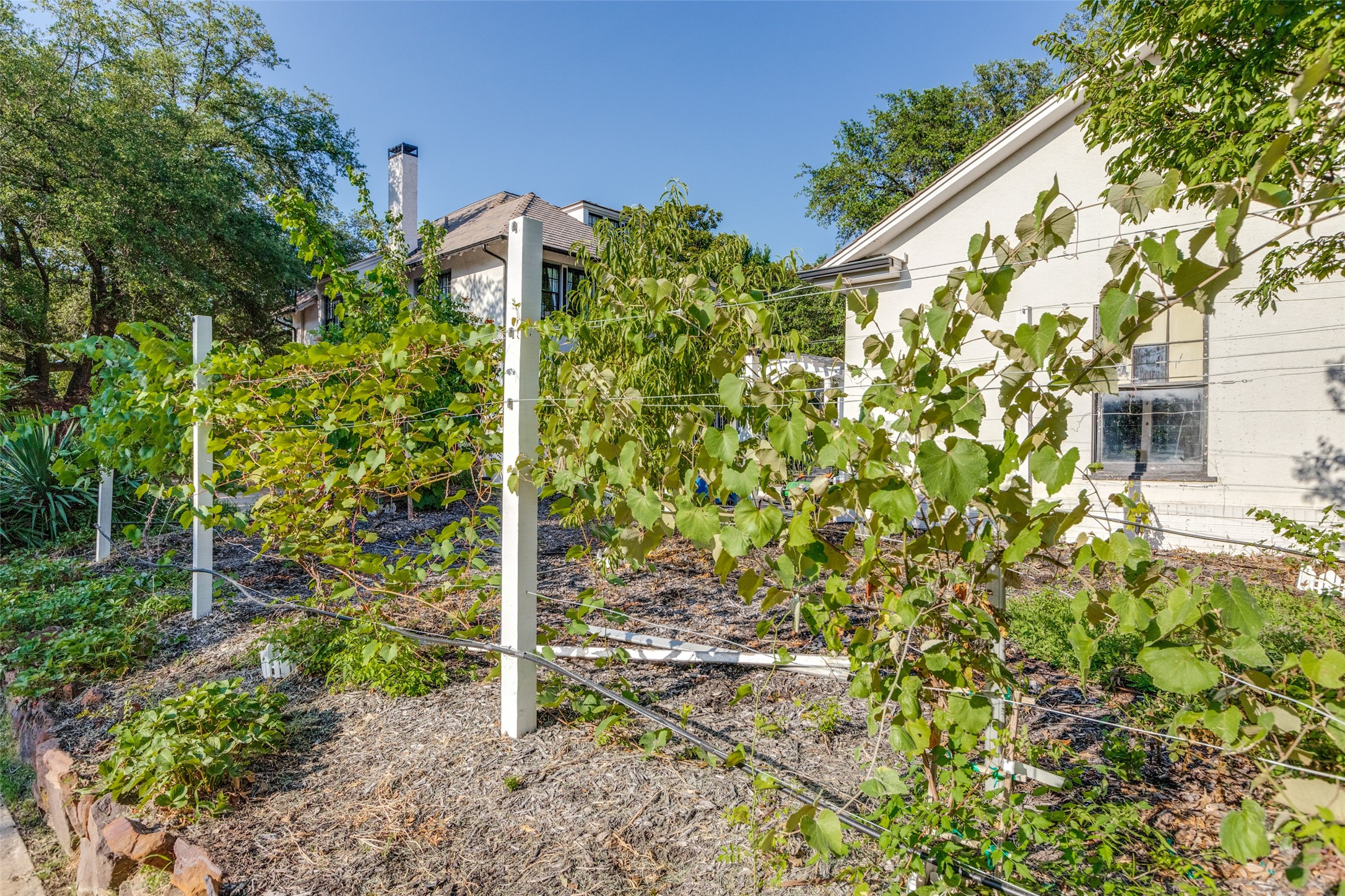 1130 W Bond Street
