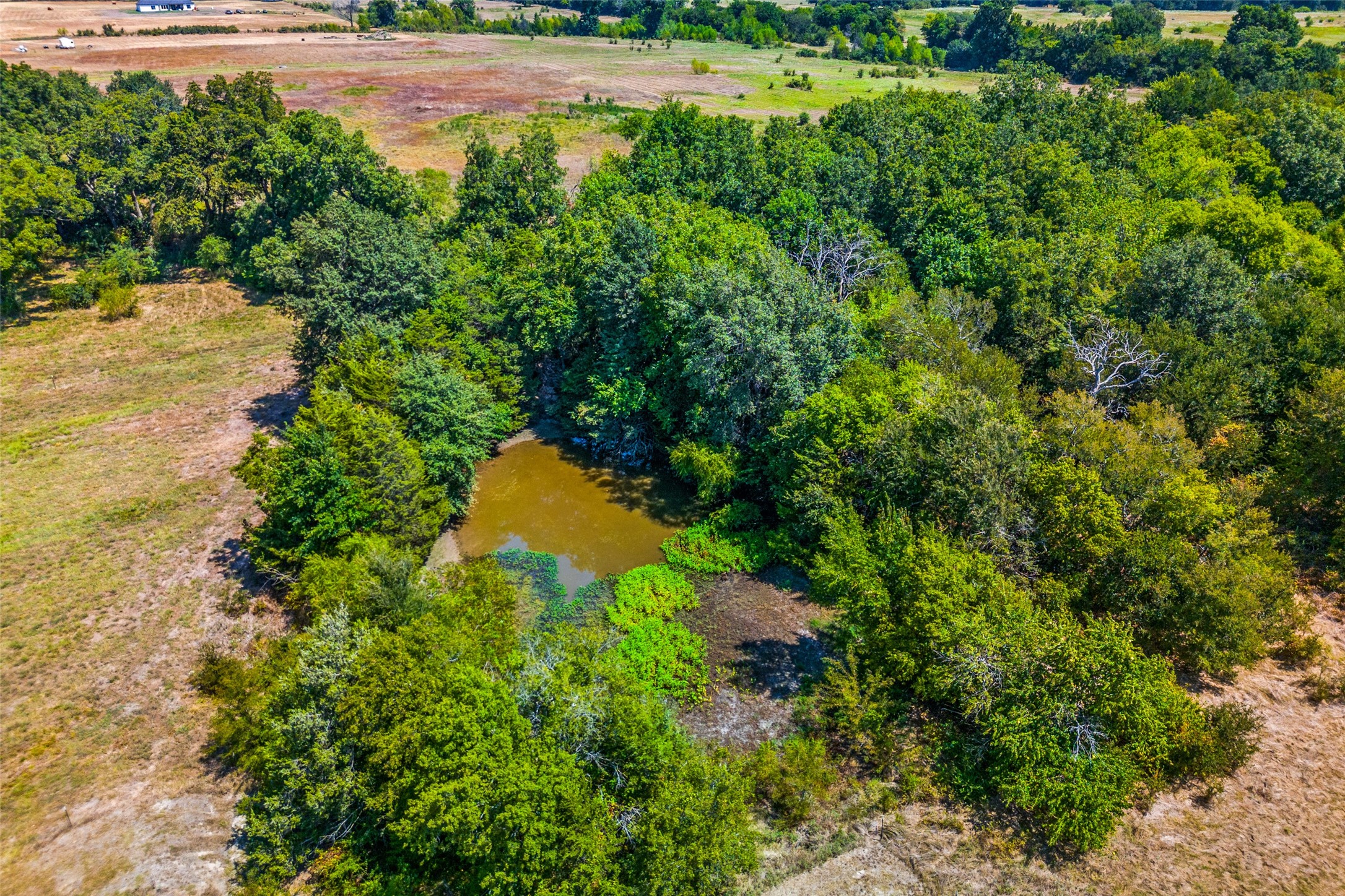 3031 County Road 1076