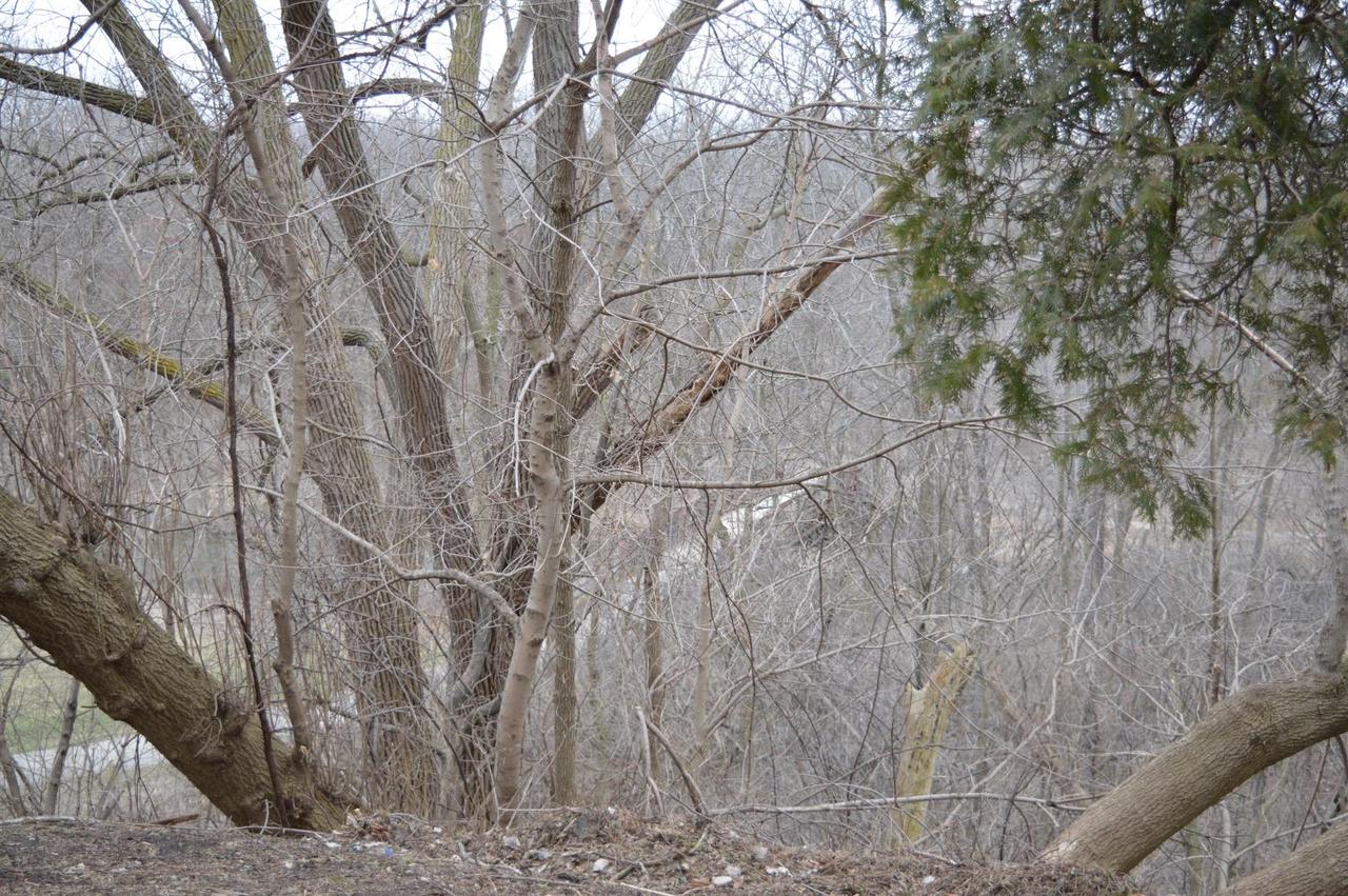 1106 Jefferson STREET