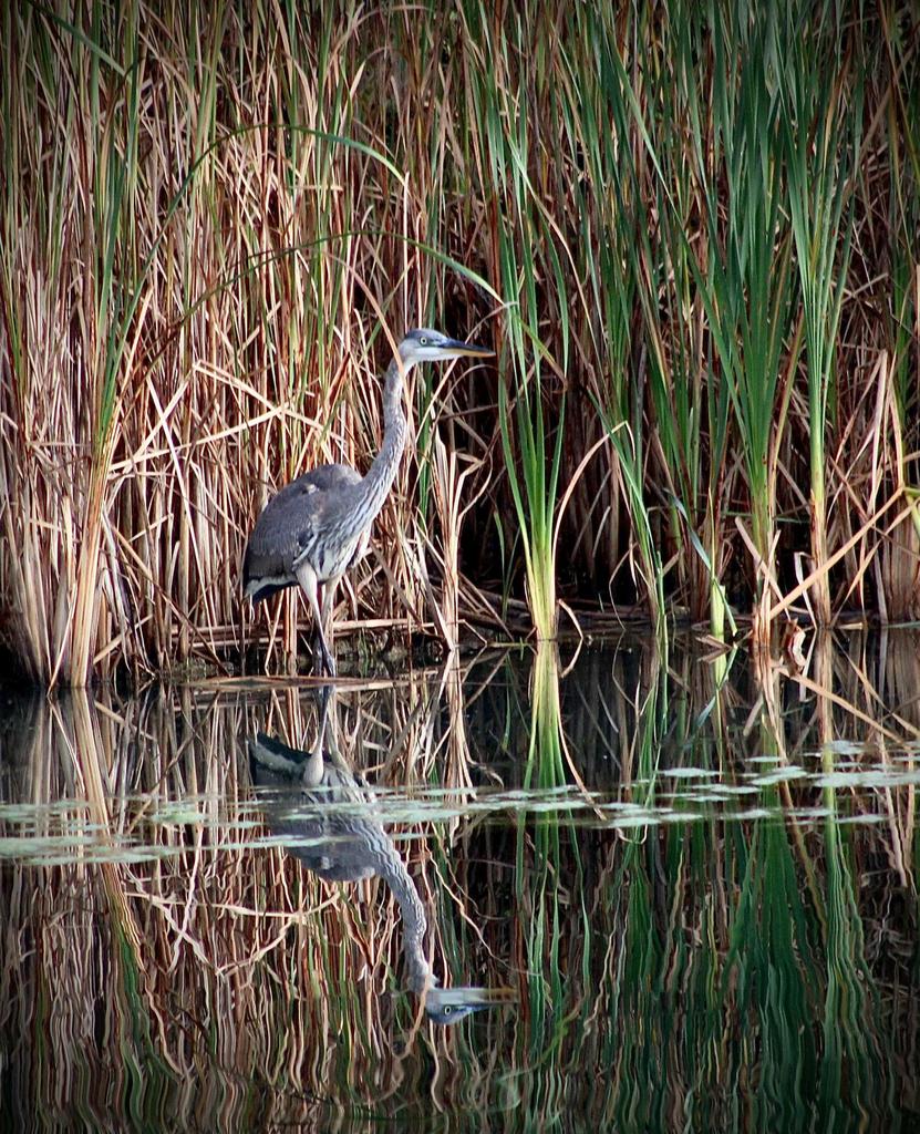 6811 South Juliana DRIVE