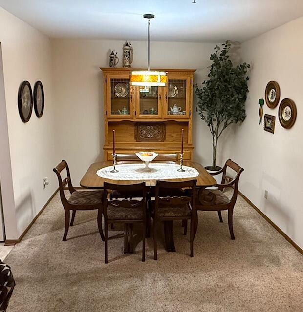 1100 Prairie DRIVE 27L