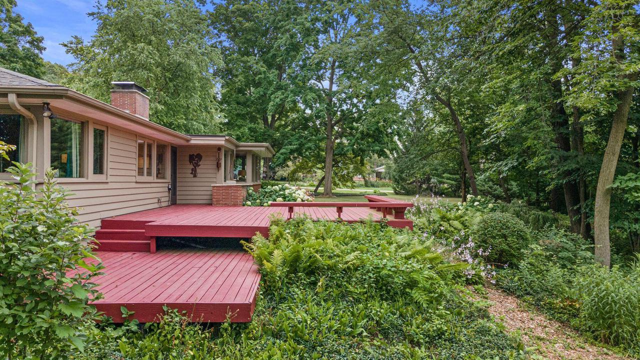 2536 Green Haze AVENUE