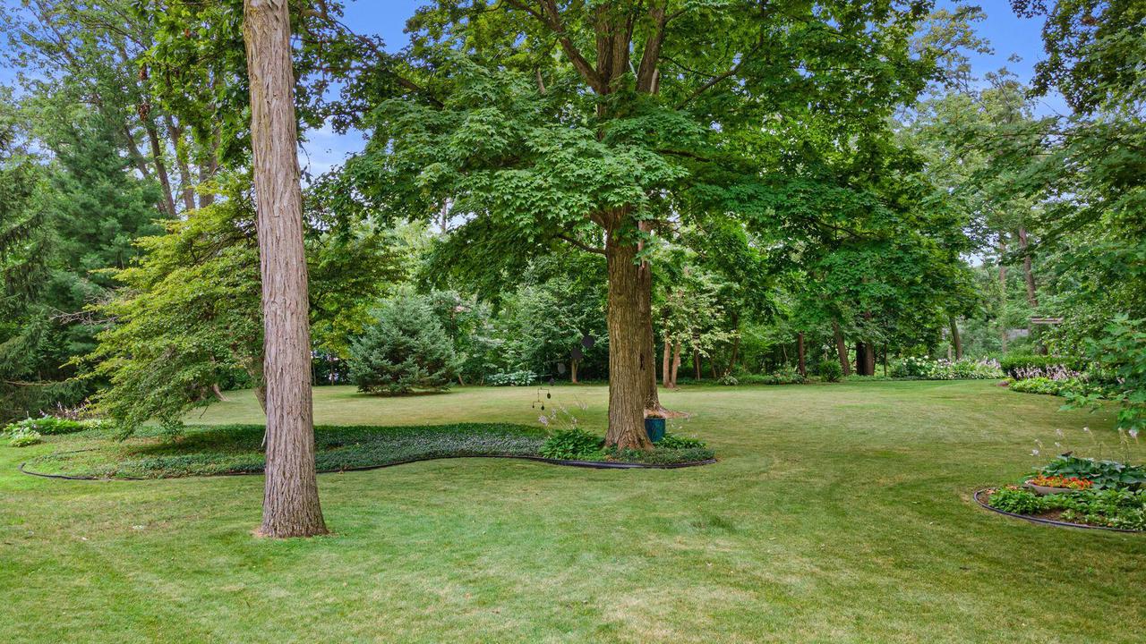 2536 Green Haze AVENUE