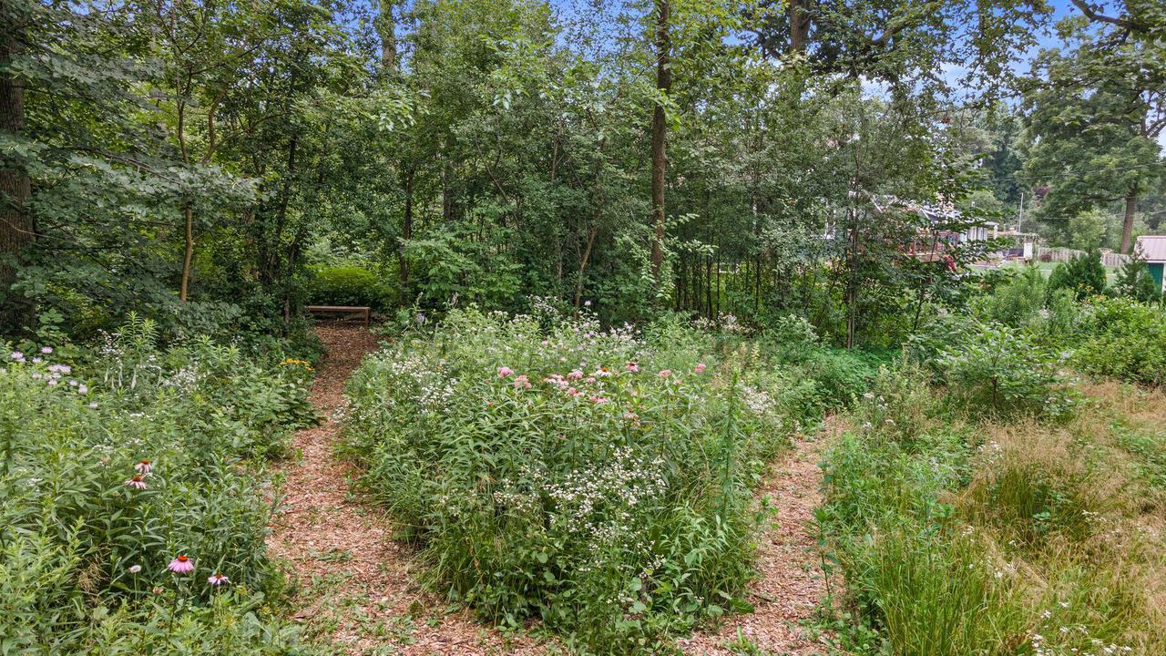 2536 Green Haze AVENUE