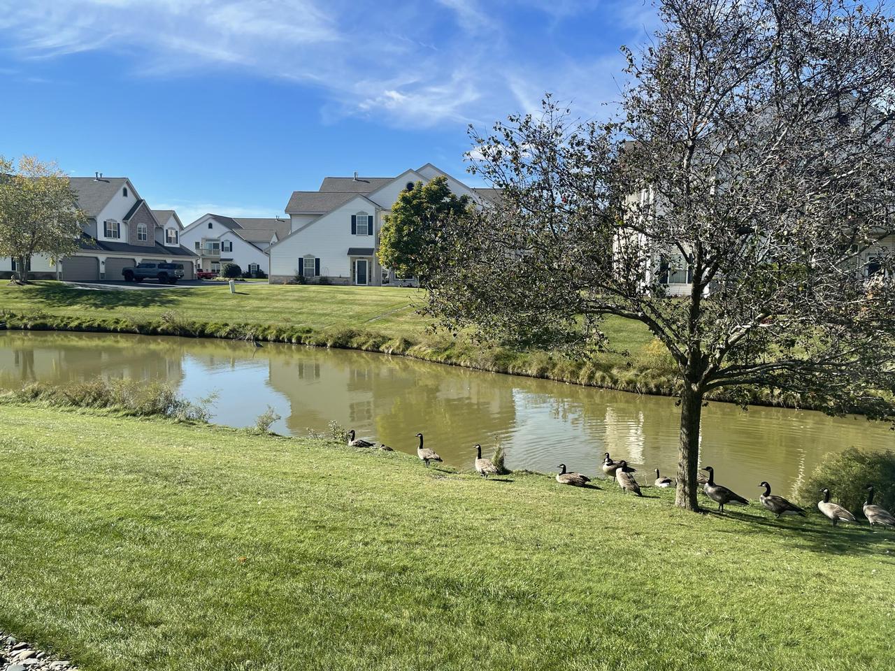 1106 Stratford COURT 102