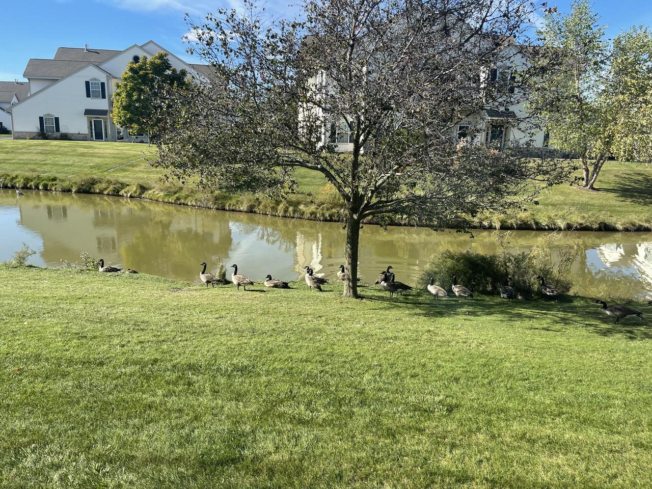 1106 Stratford COURT 102