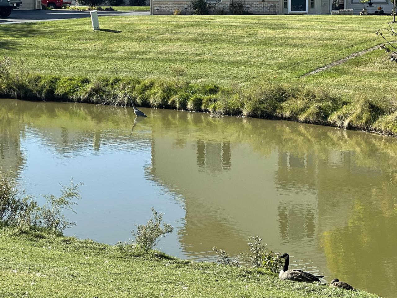 1106 Stratford COURT 102