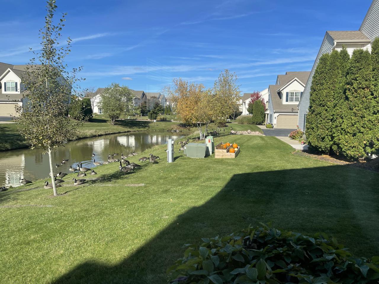 1106 Stratford COURT 102