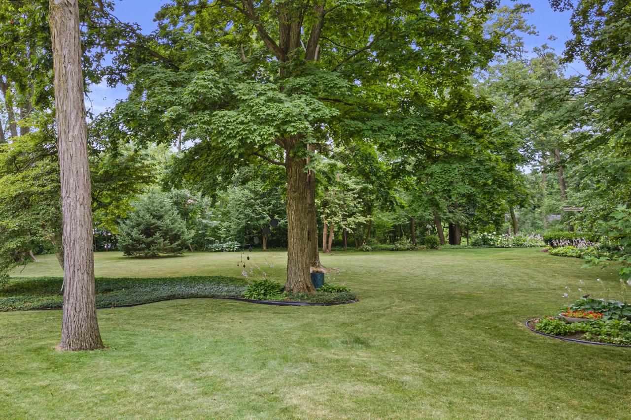 2536 Green Haze AVENUE