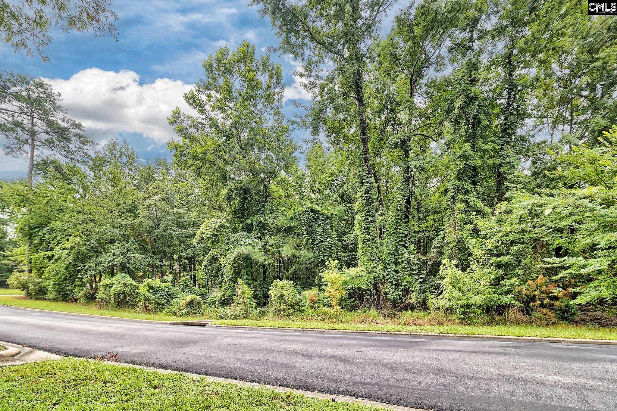 0 Kelsey Glen Drive