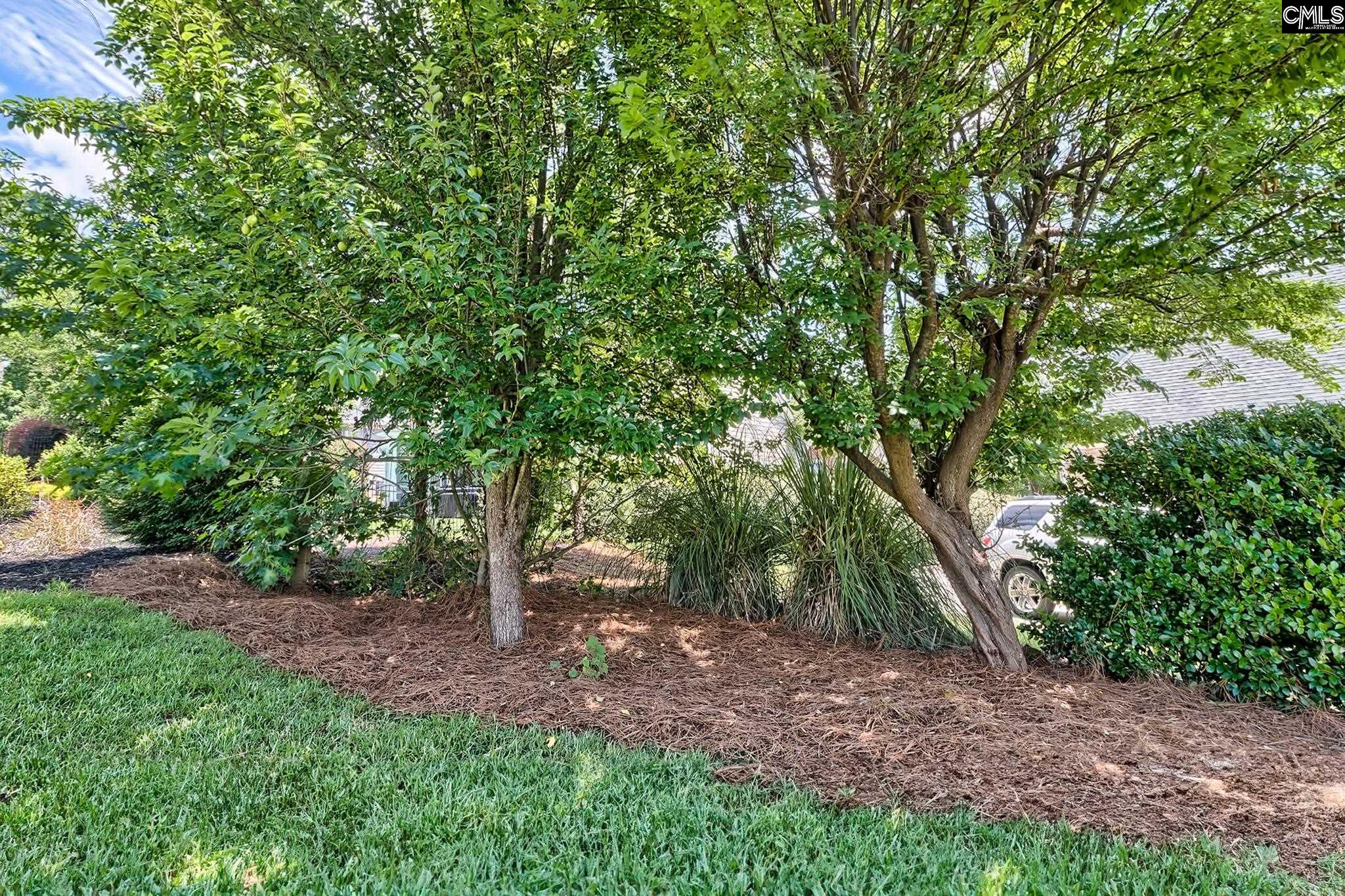 211 Clayborn Drive