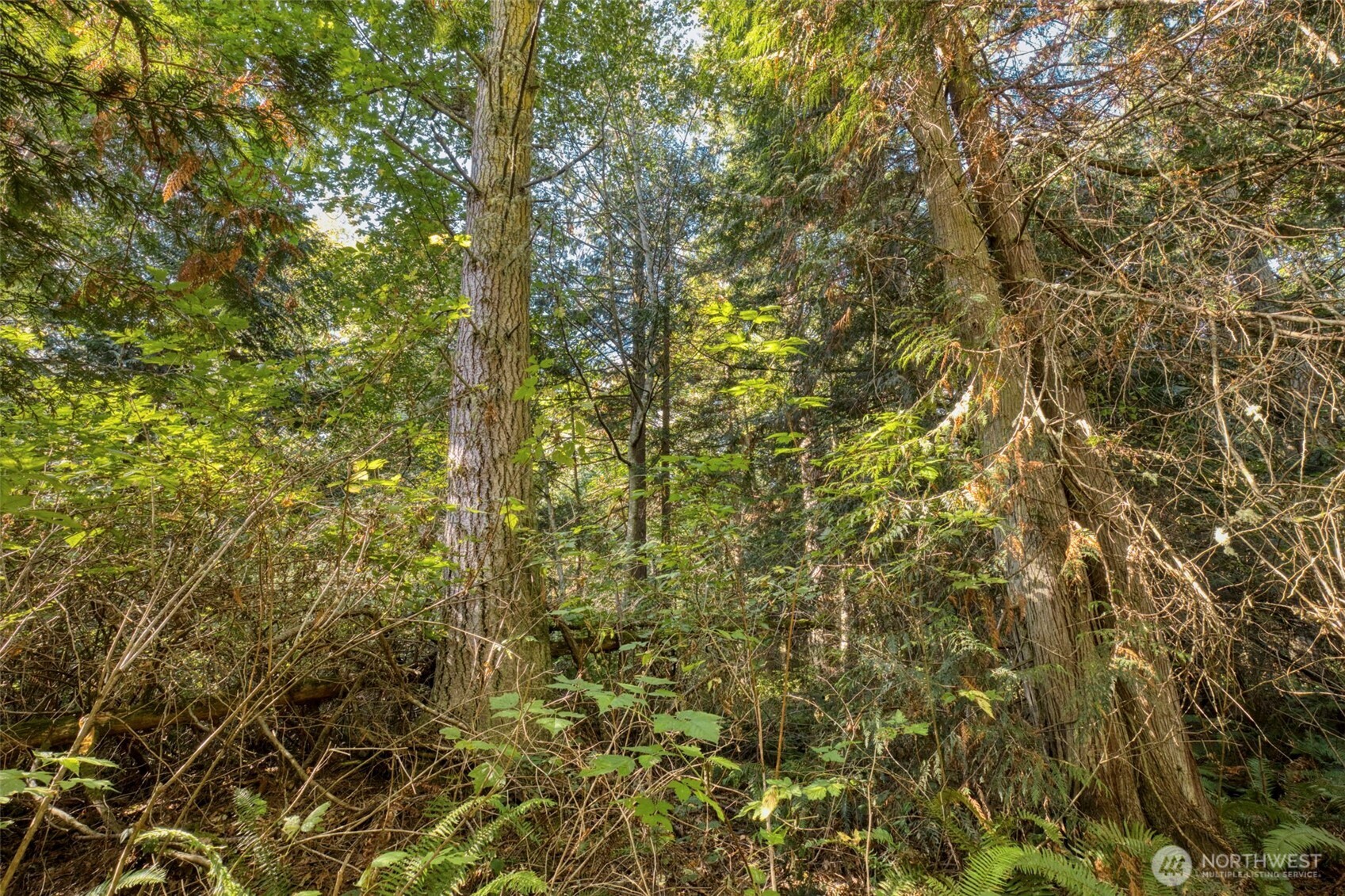 0 Skunk Bay Road NE
