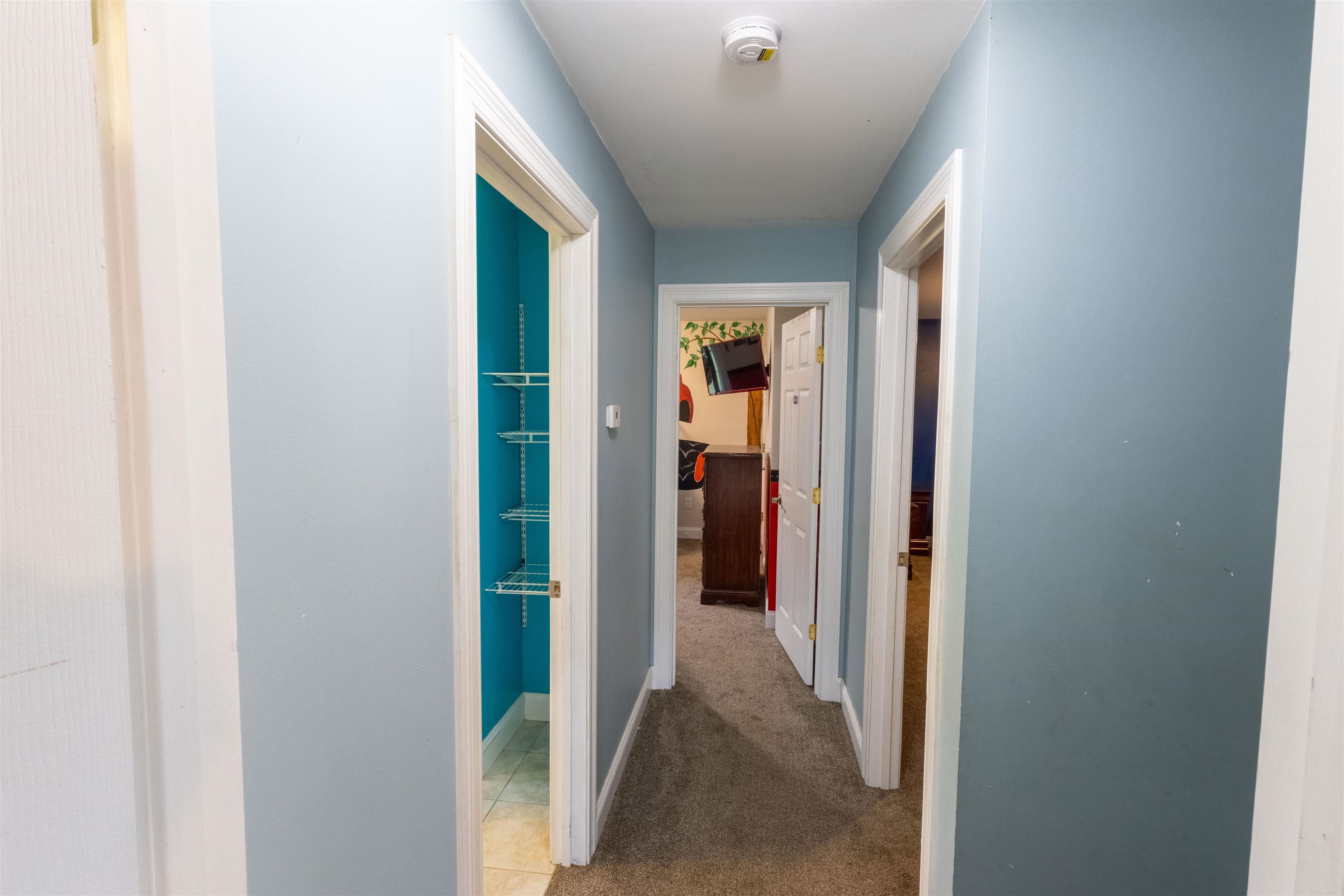 55 Raymo Drive