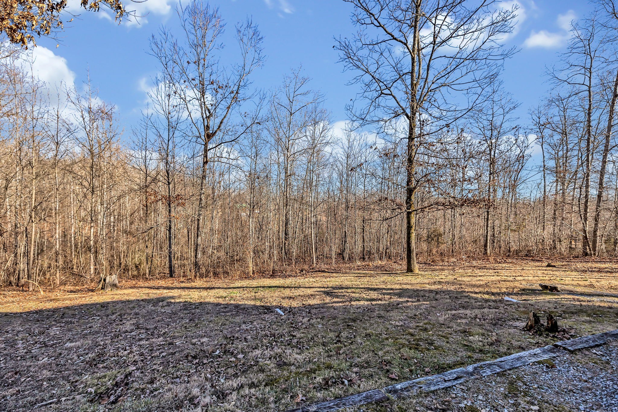 135 Countrywood Ln