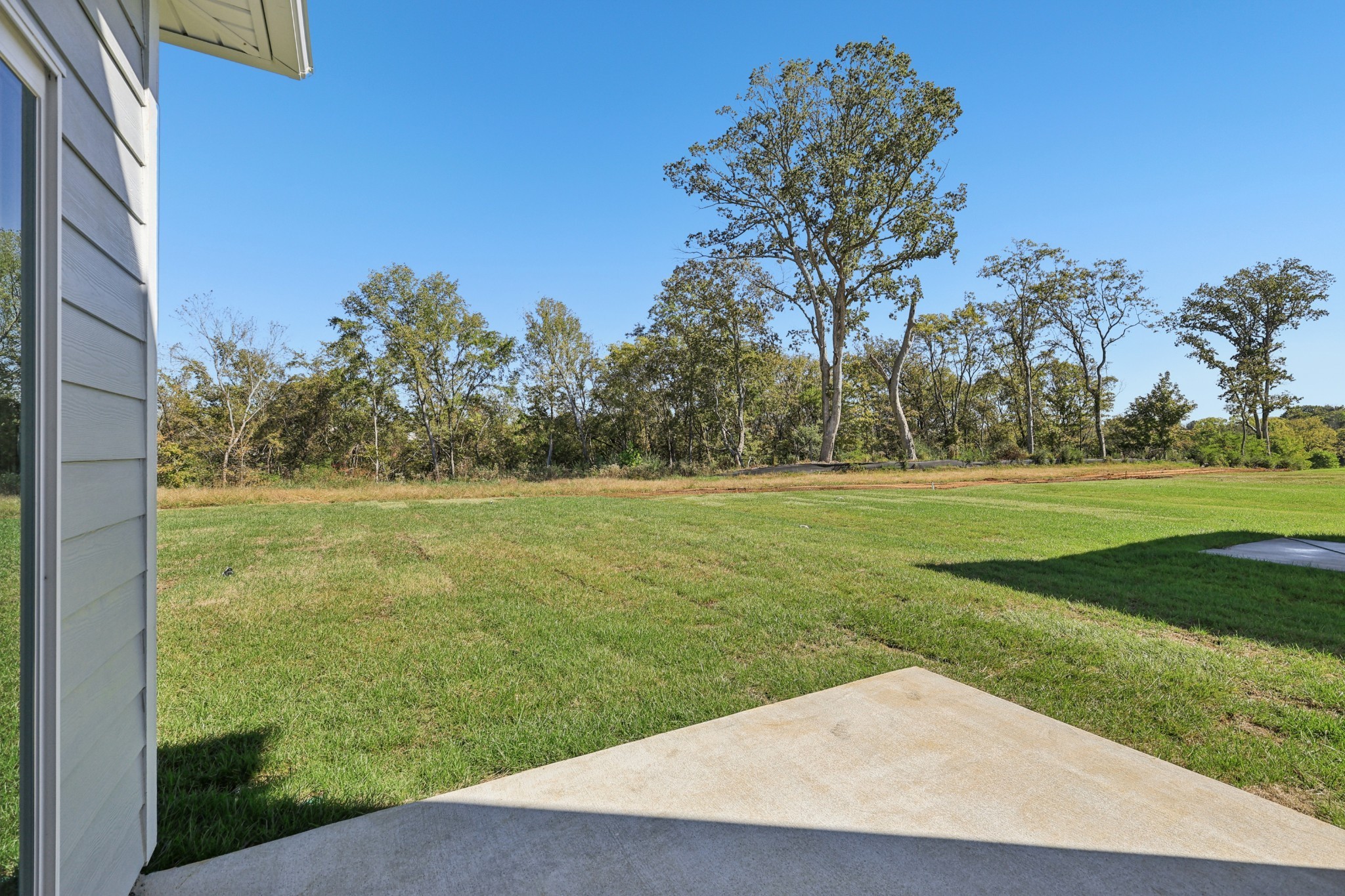 1509 Bear Branch Trce