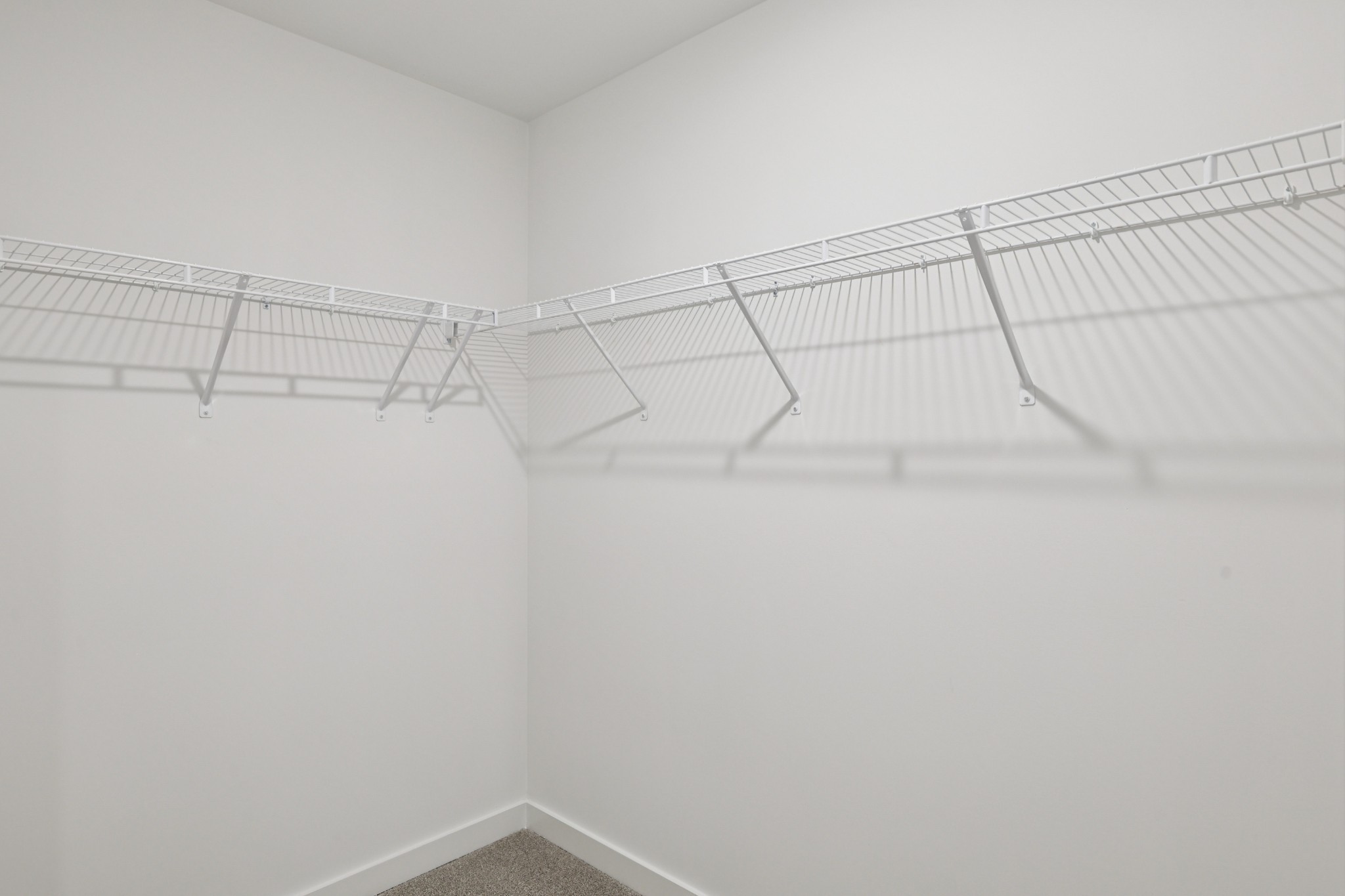 1509 Bear Branch Trce