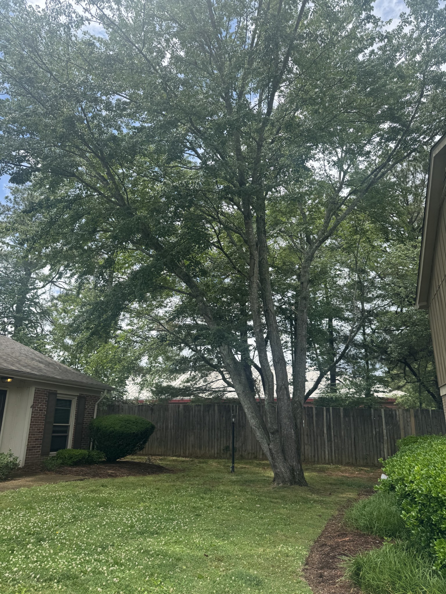 1011 Murfreesboro Rd Unit: F1