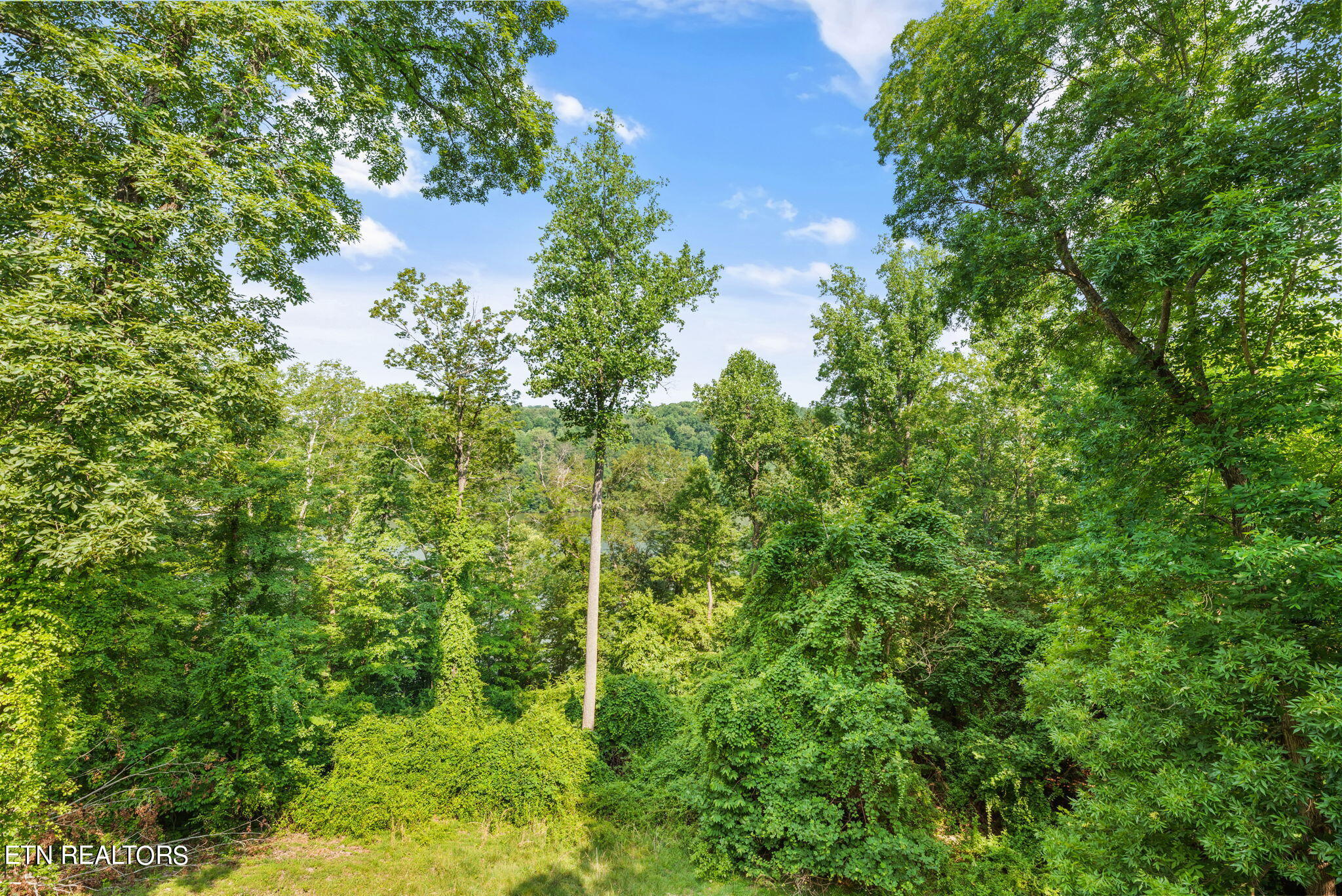 1209 River Bend Drive